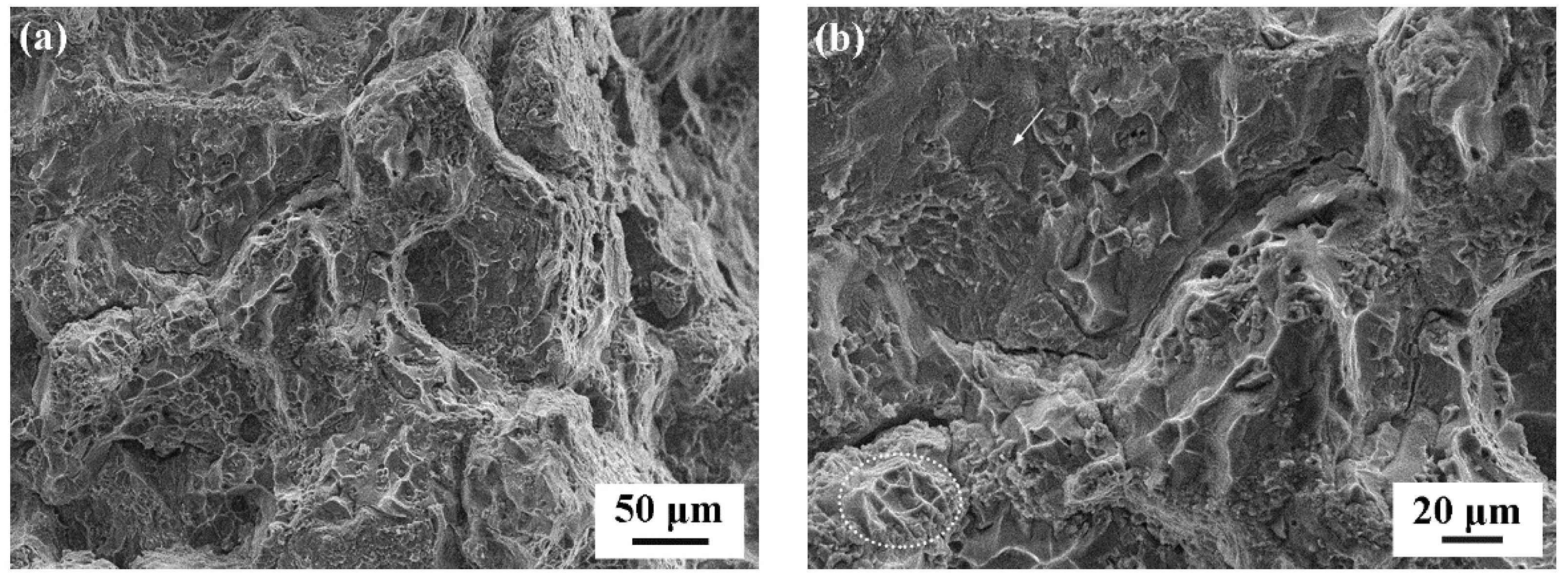 Crystals 12 01119 g007a