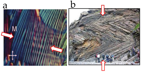 Crystals 12 01180 g007