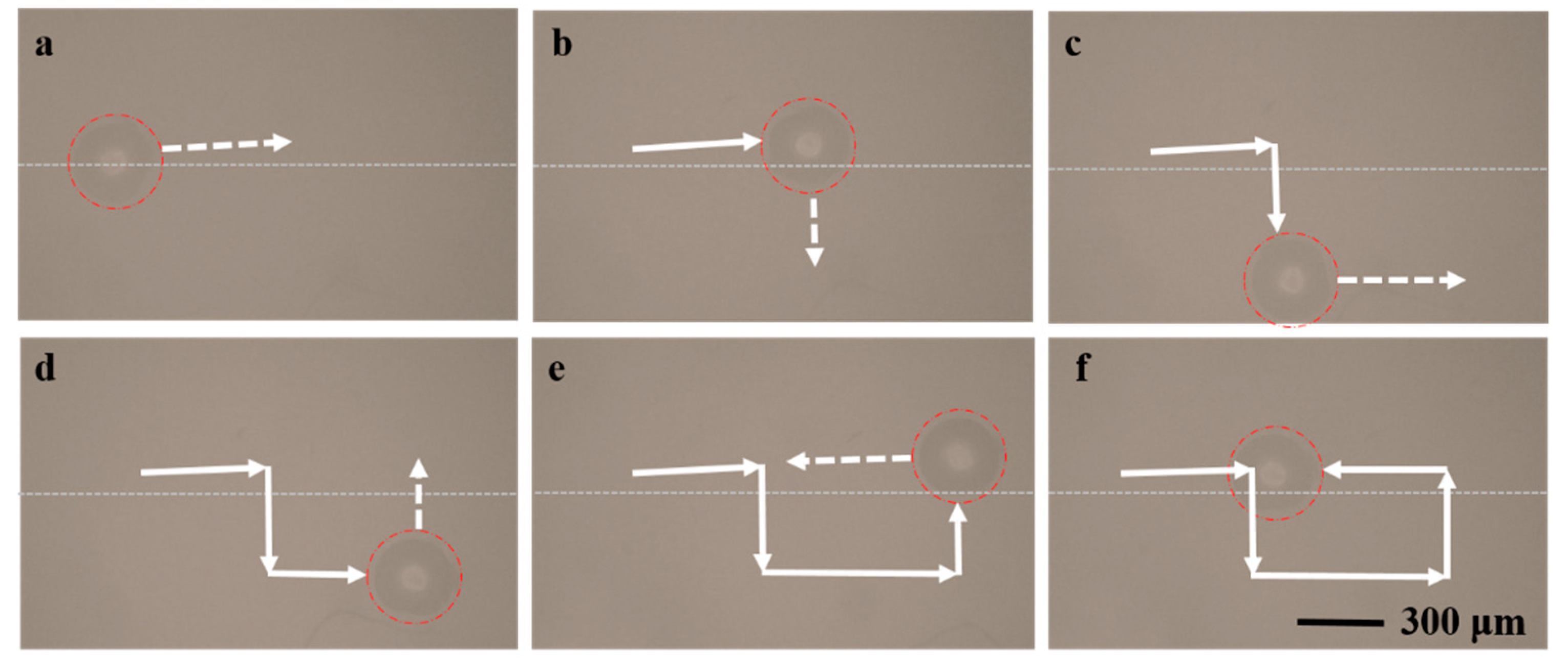 Crystals 12 01181 g013