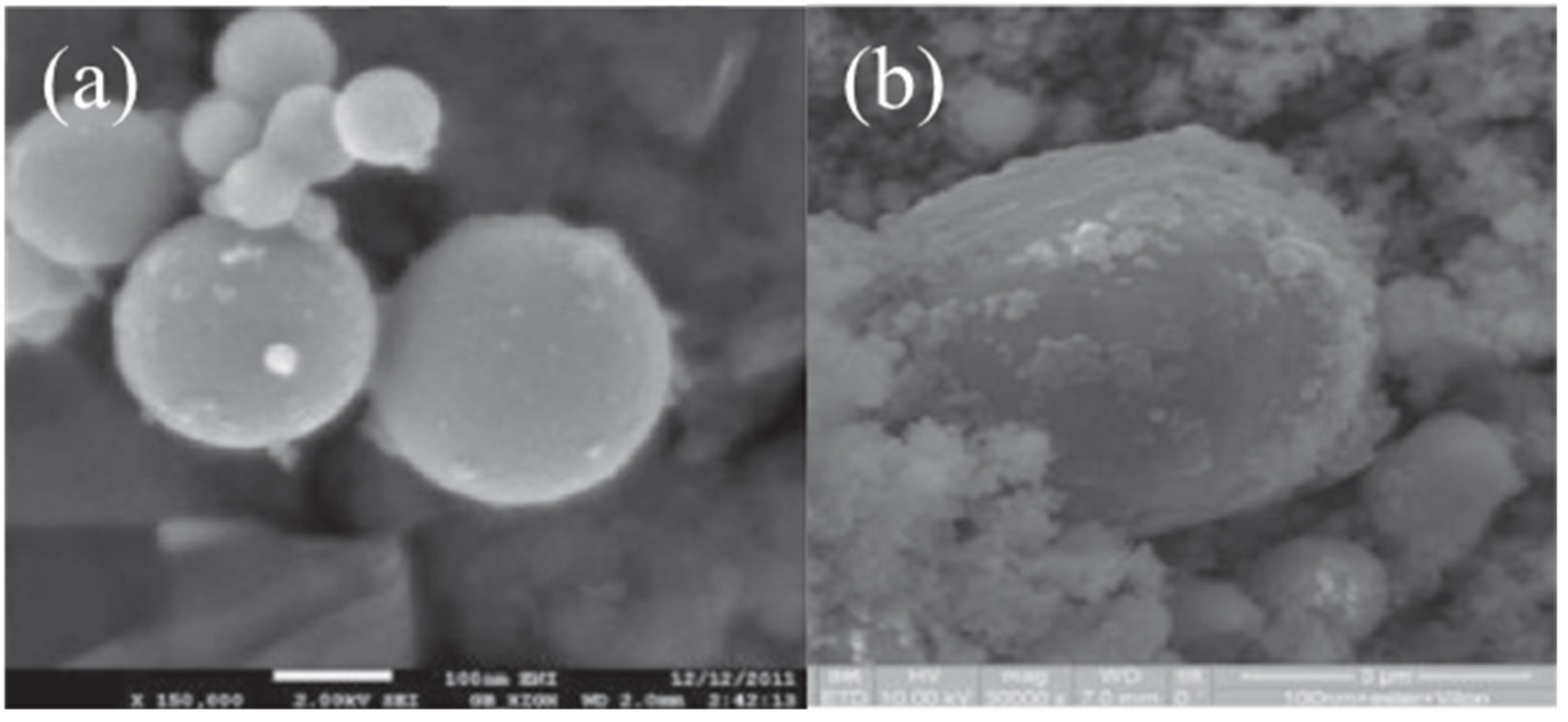 Crystals 12 01187 g006