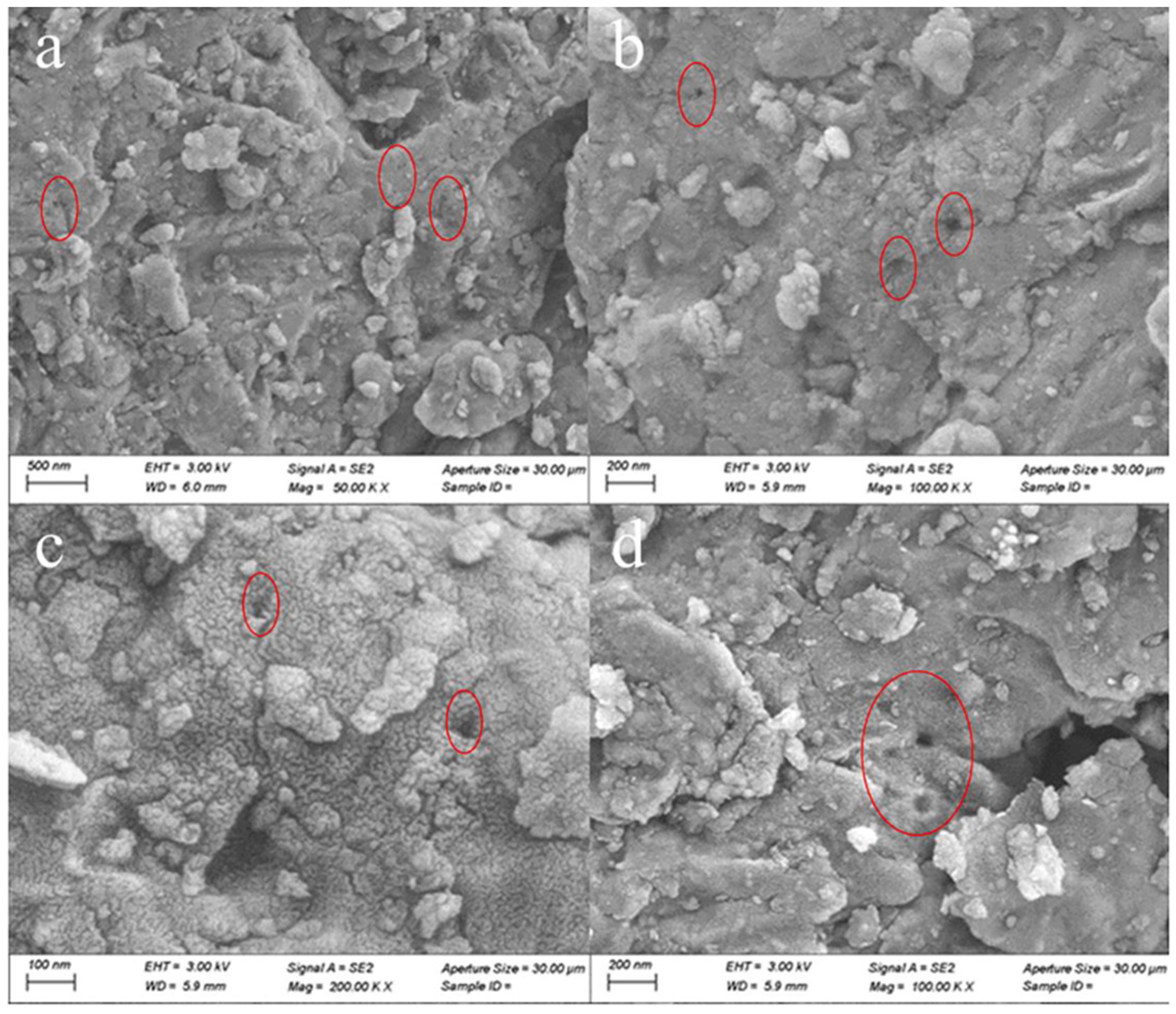 Crystals 12 01187 g008