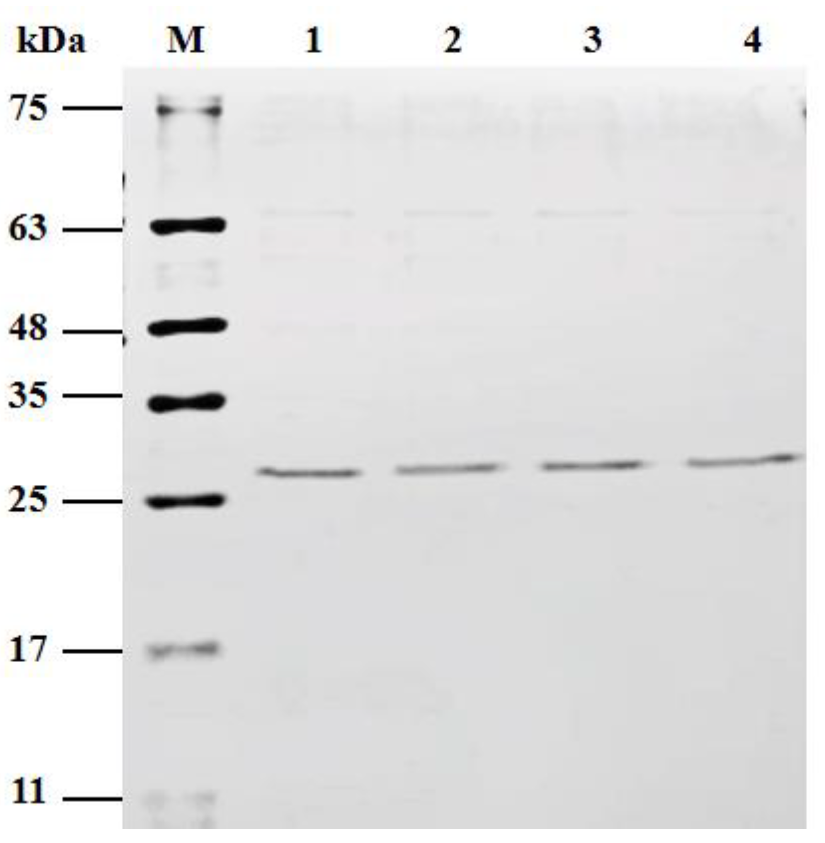 Crystals 12 01228 g002