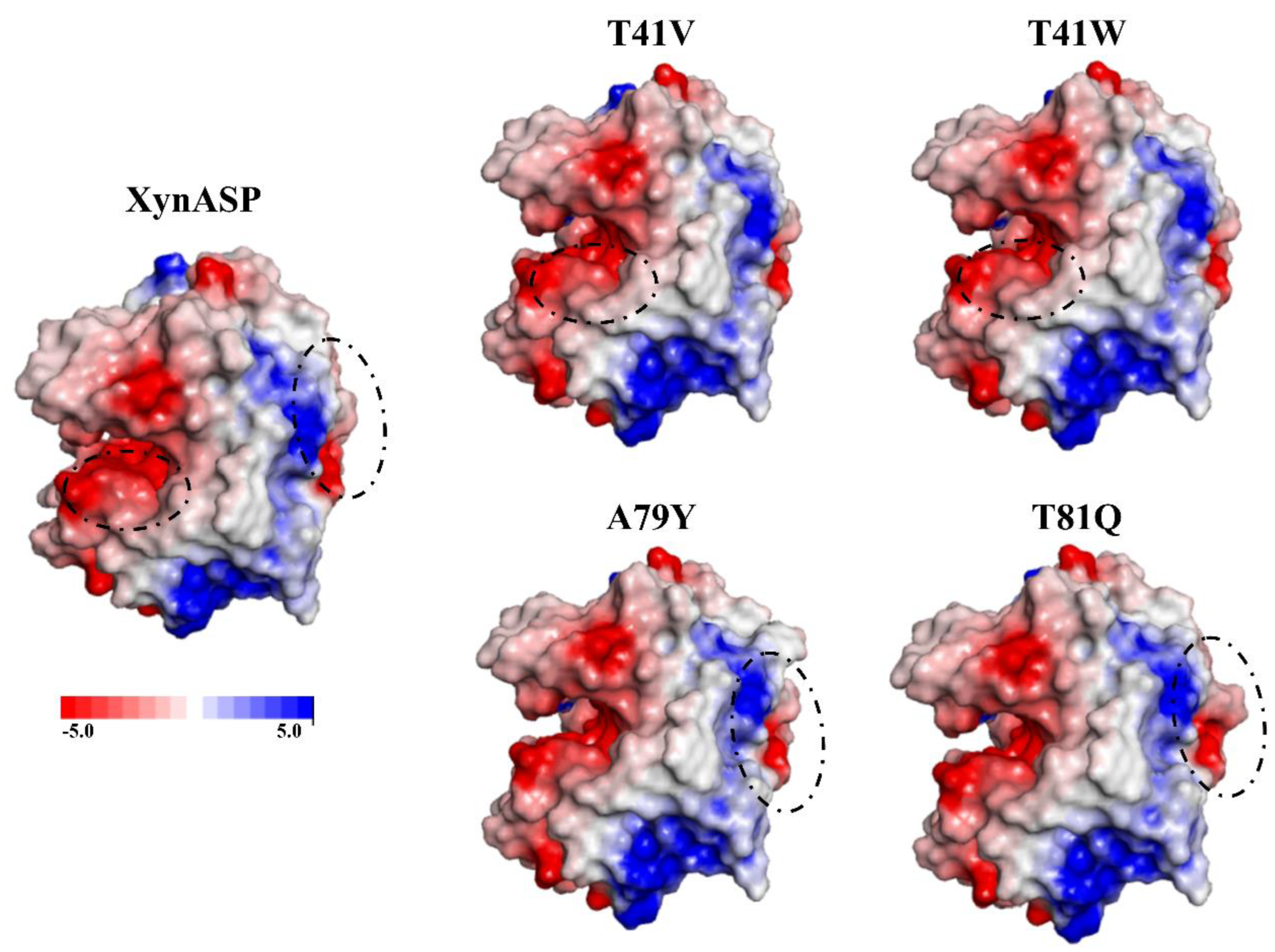 Crystals 12 01228 g005