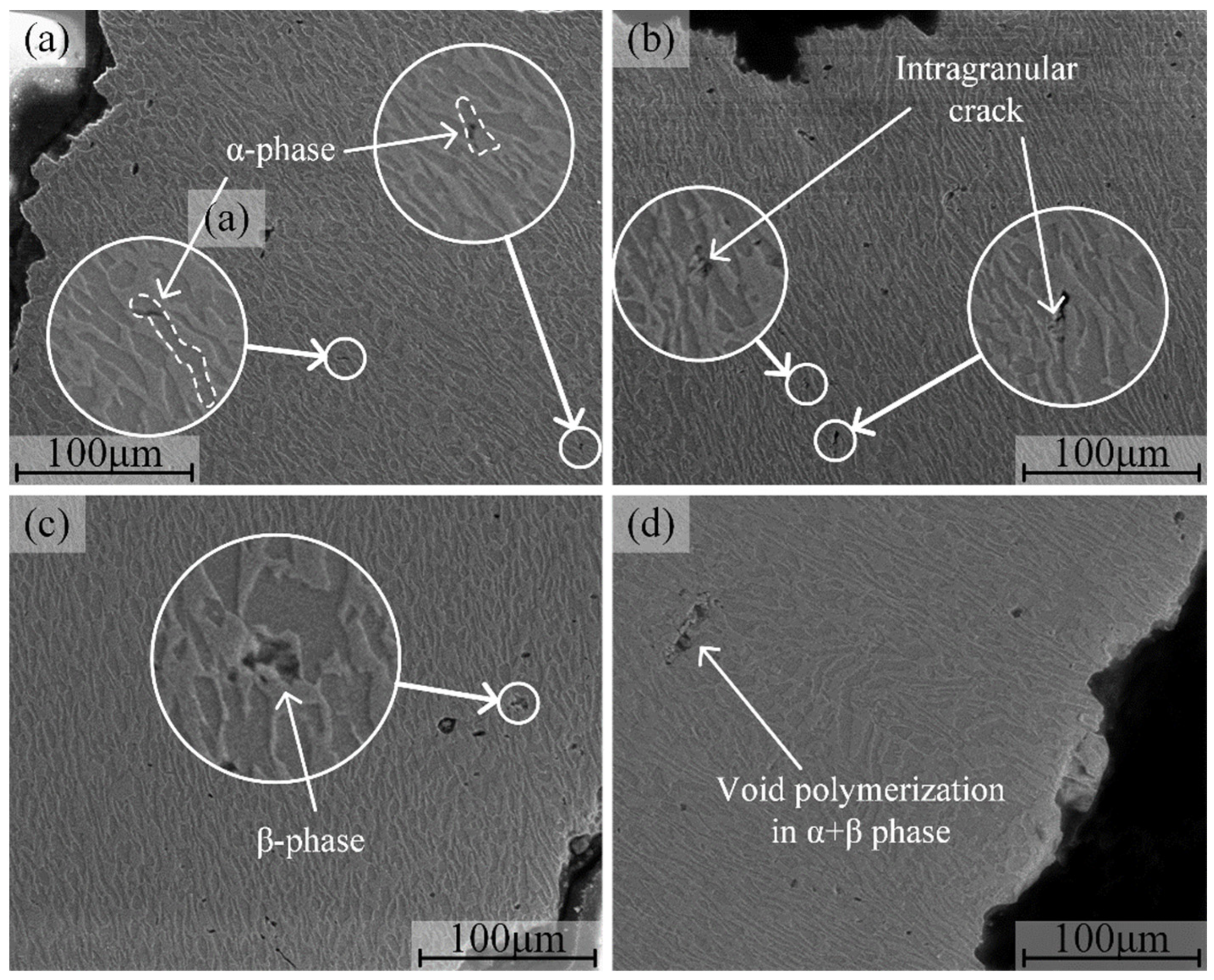 Crystals 12 01255 g006