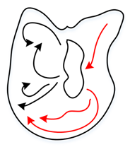 Crystals 12 01268 i002