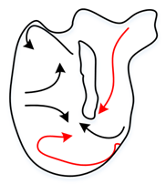 Crystals 12 01268 i006