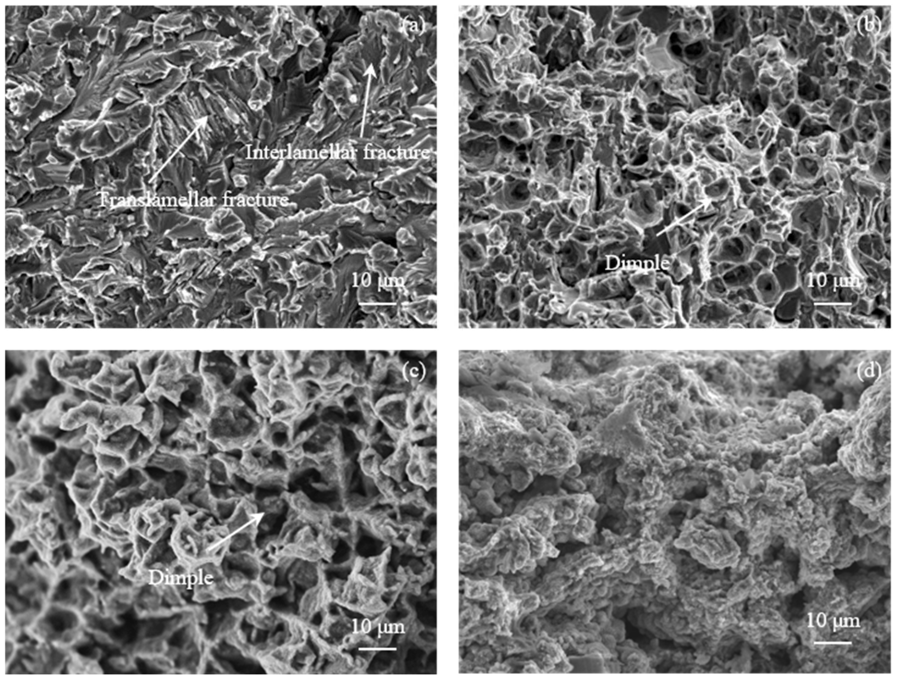 Crystals 12 01391 g010