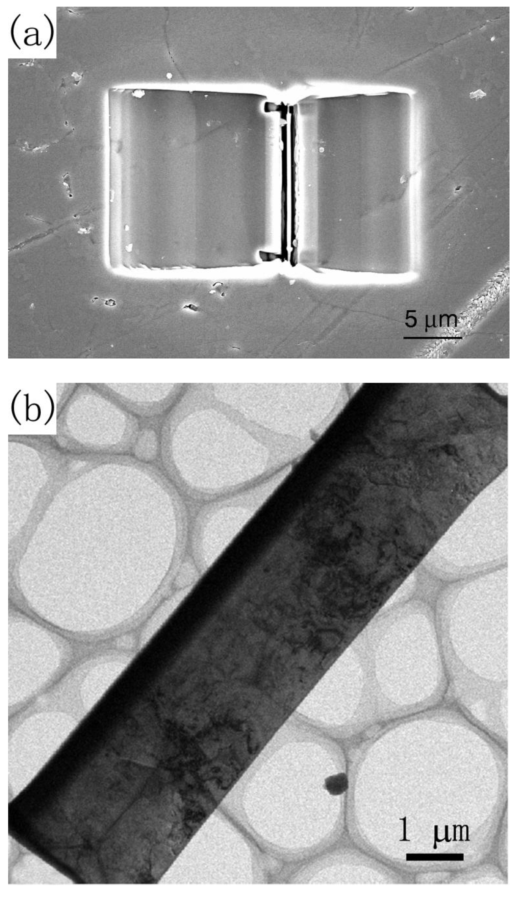 Crystals 12 01396 g001