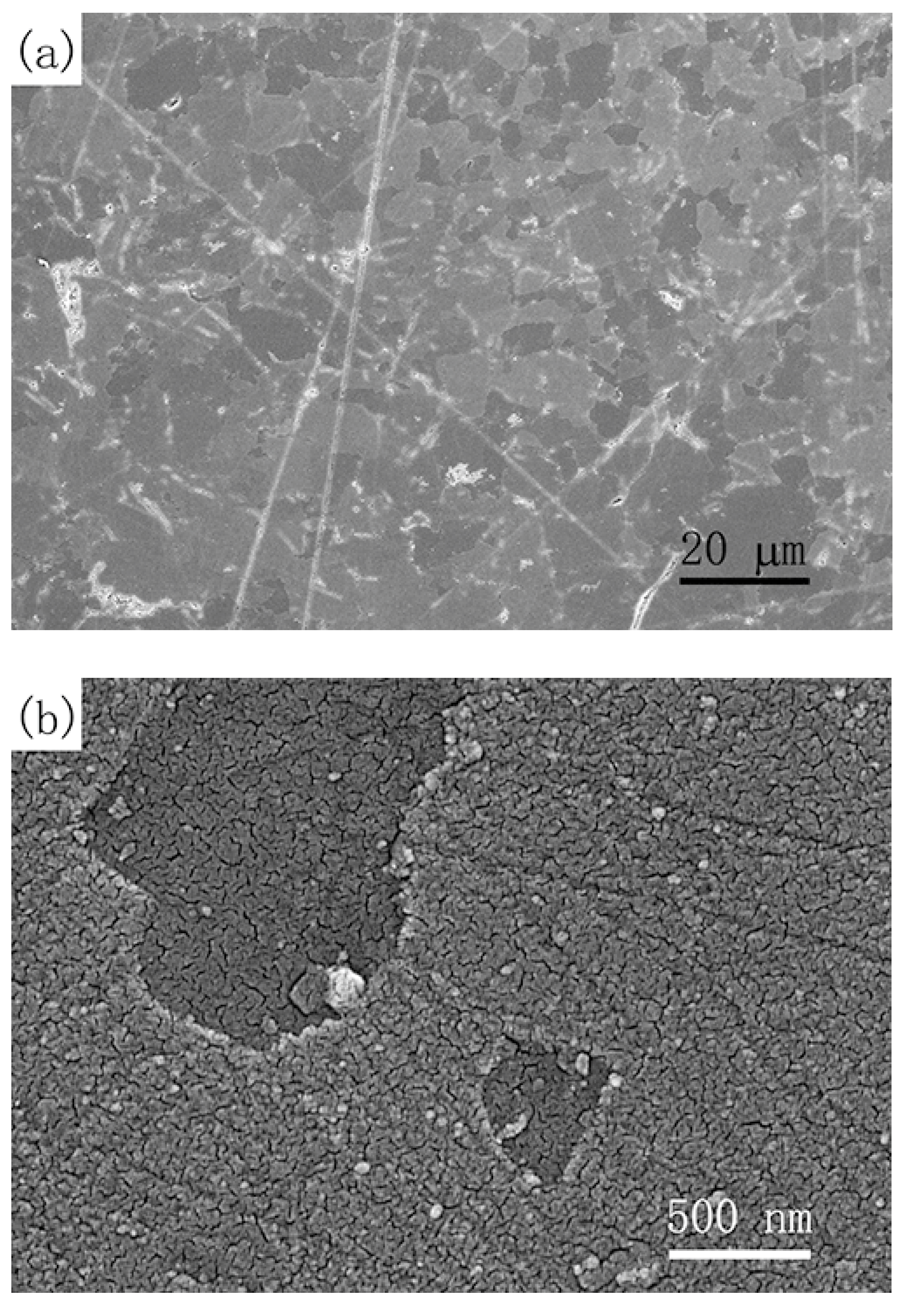 Crystals 12 01396 g002
