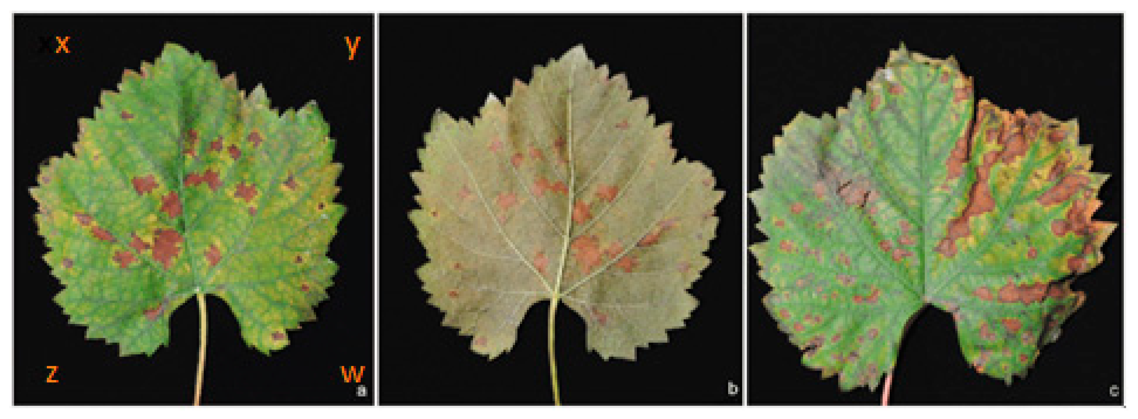 Crystals 12 01450 g006