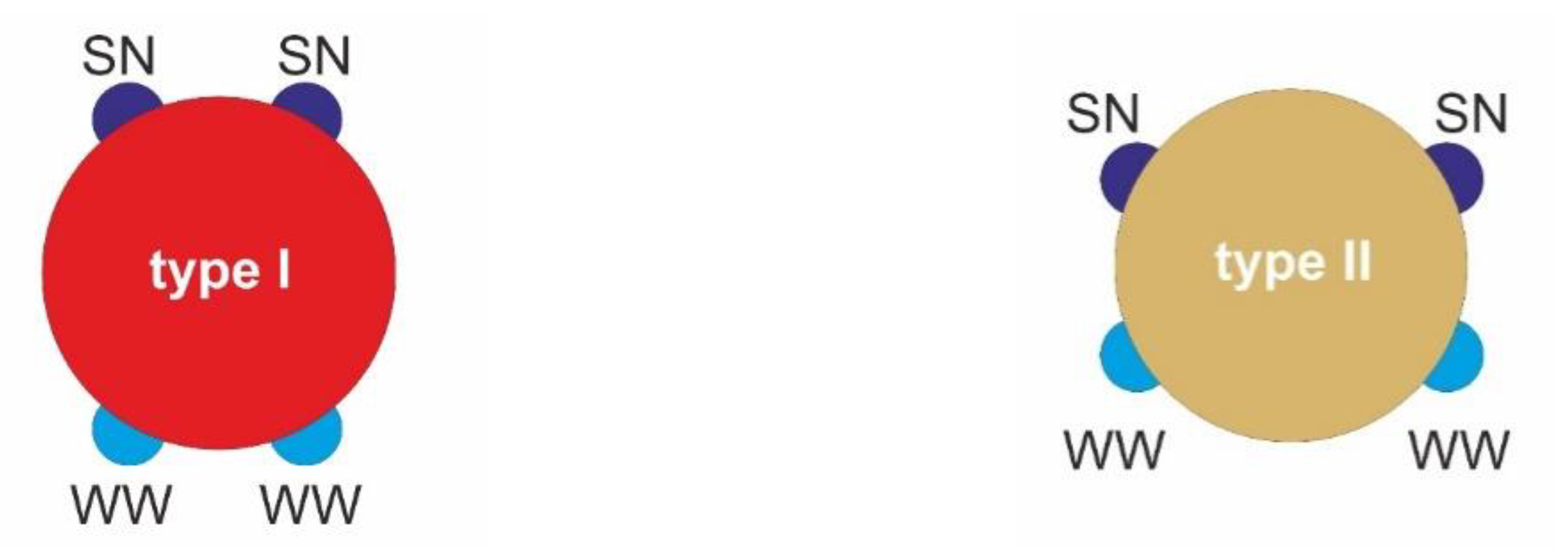 2D Monte Carlo Simulation of Cocrystal Formation Using Patchy Particles ...