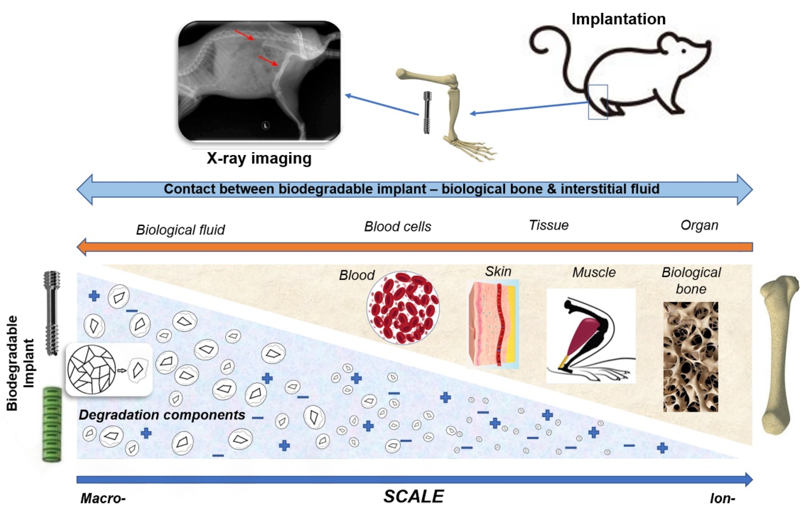Crystals 12 01468 g010