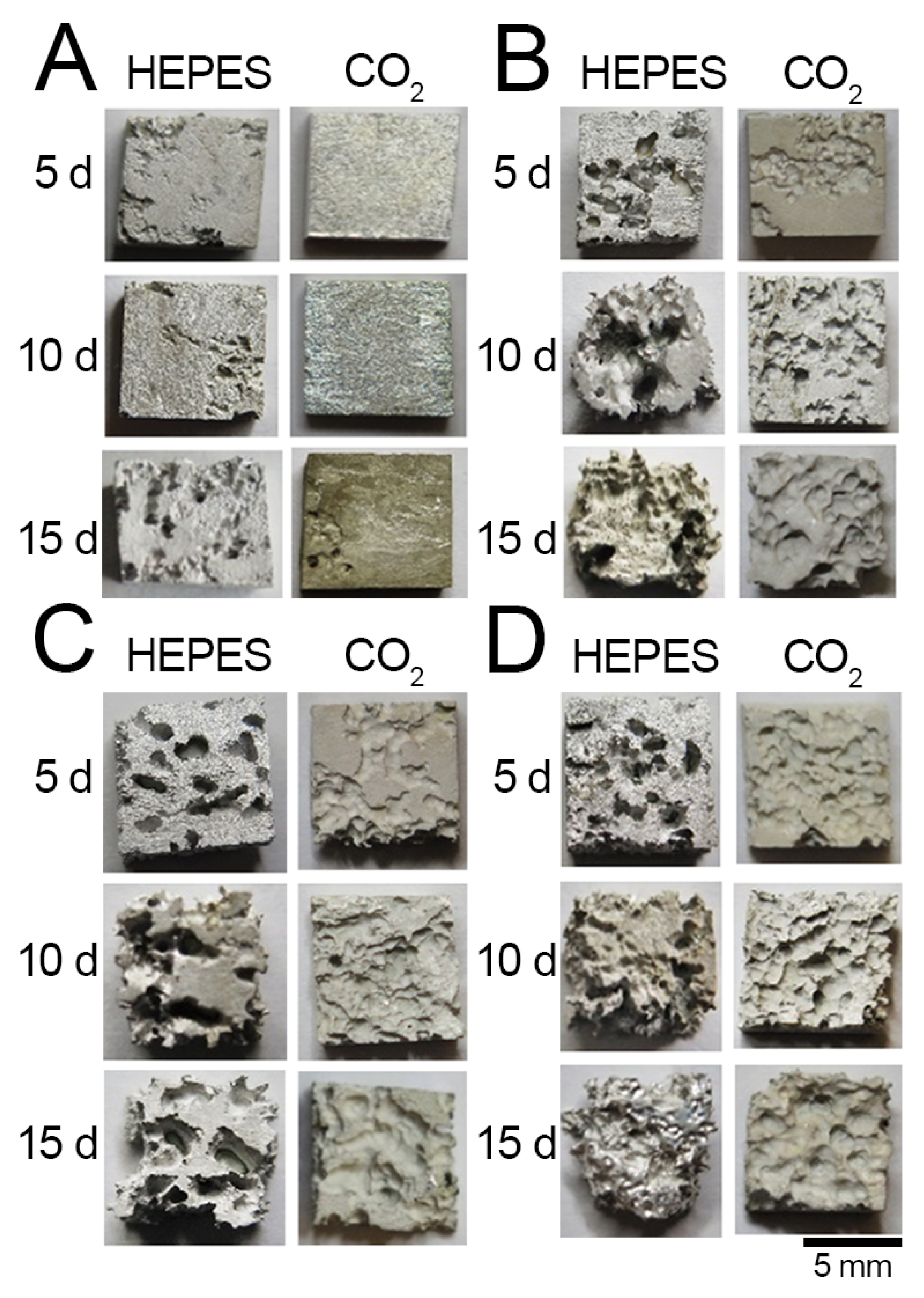 Crystals 12 01491 g003