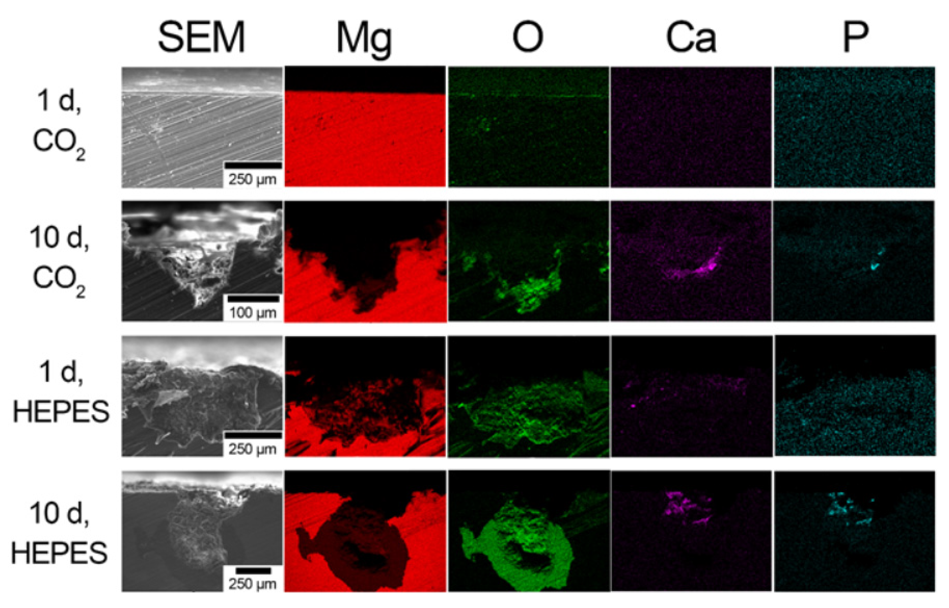 Crystals 12 01491 g005