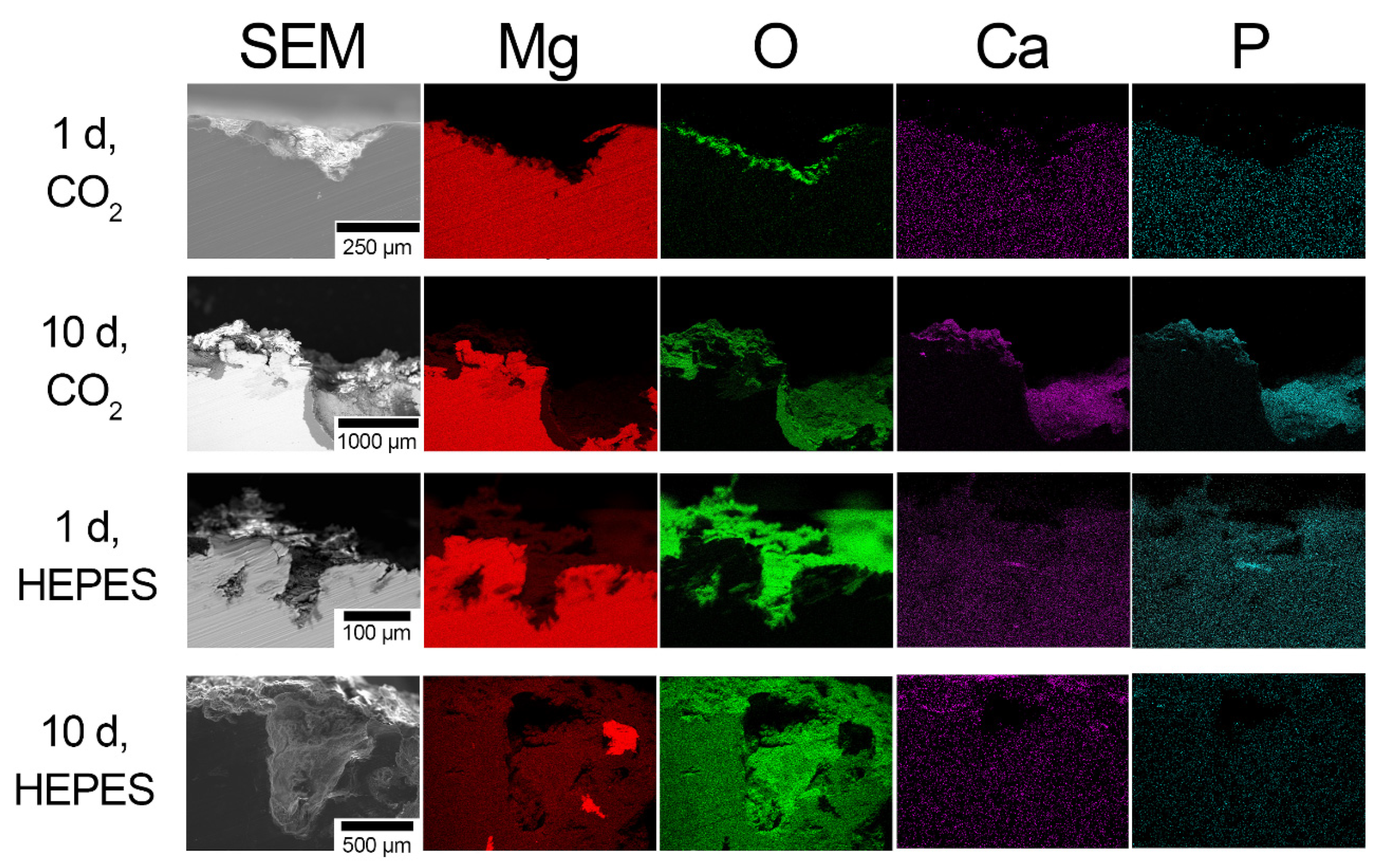 Crystals 12 01491 g006