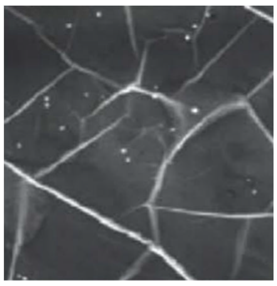 Crystals 12 01526 g005