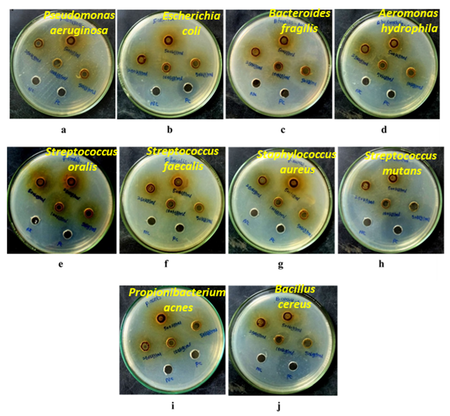 Crystals 12 01550 g007