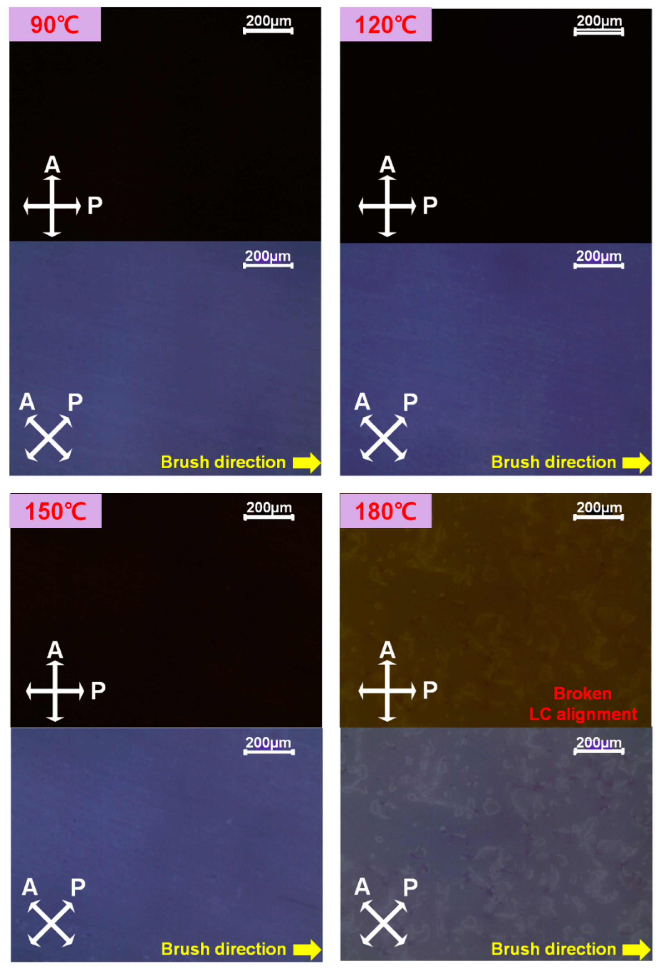 Crystals 12 01554 g008