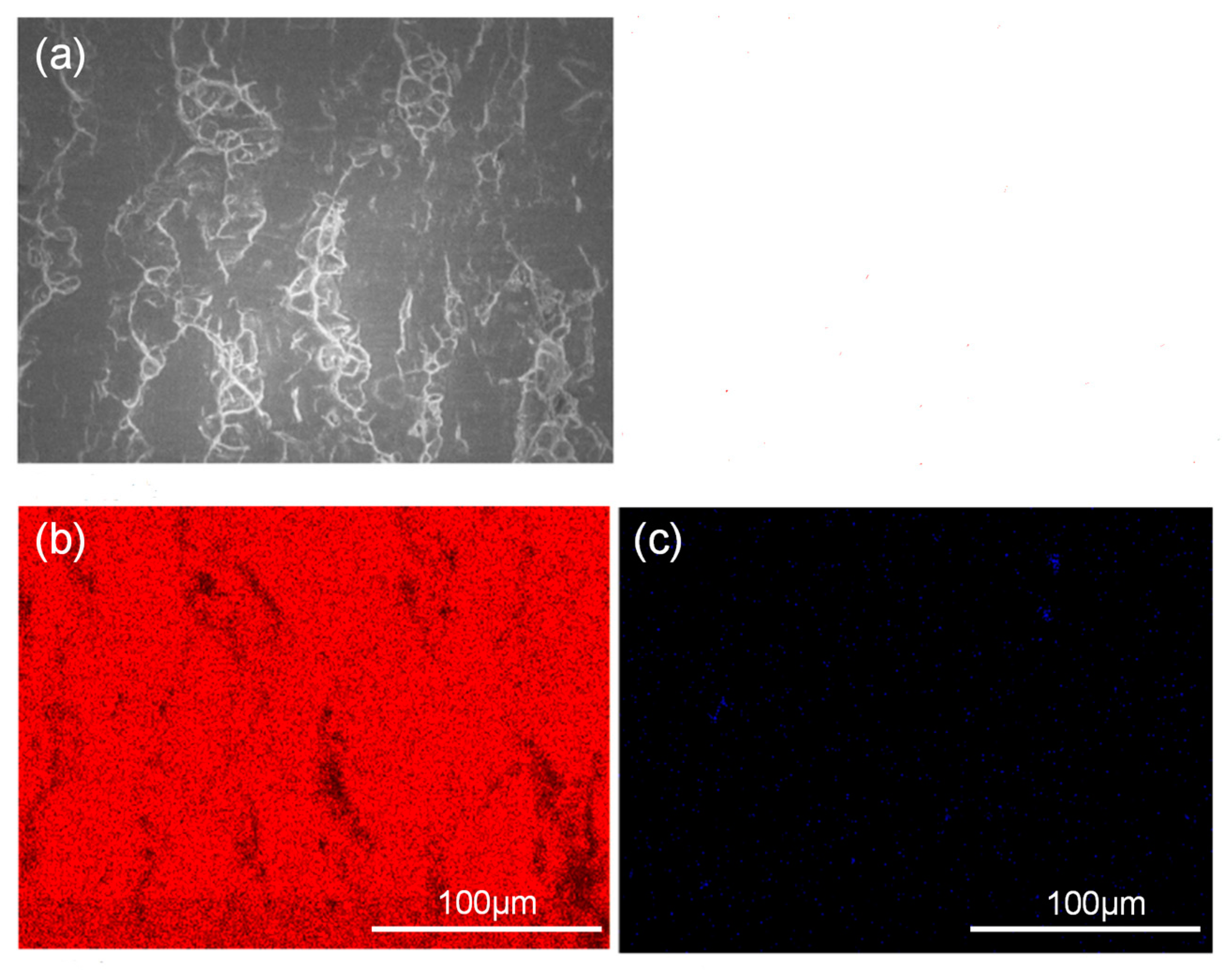 Crystals 12 01665 g010 Crystals 12 01665 g010