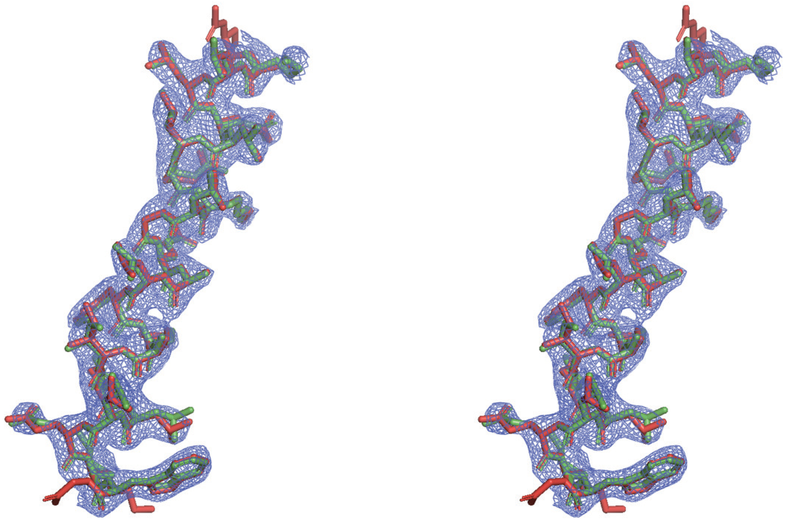 Crystals 12 01674 g005