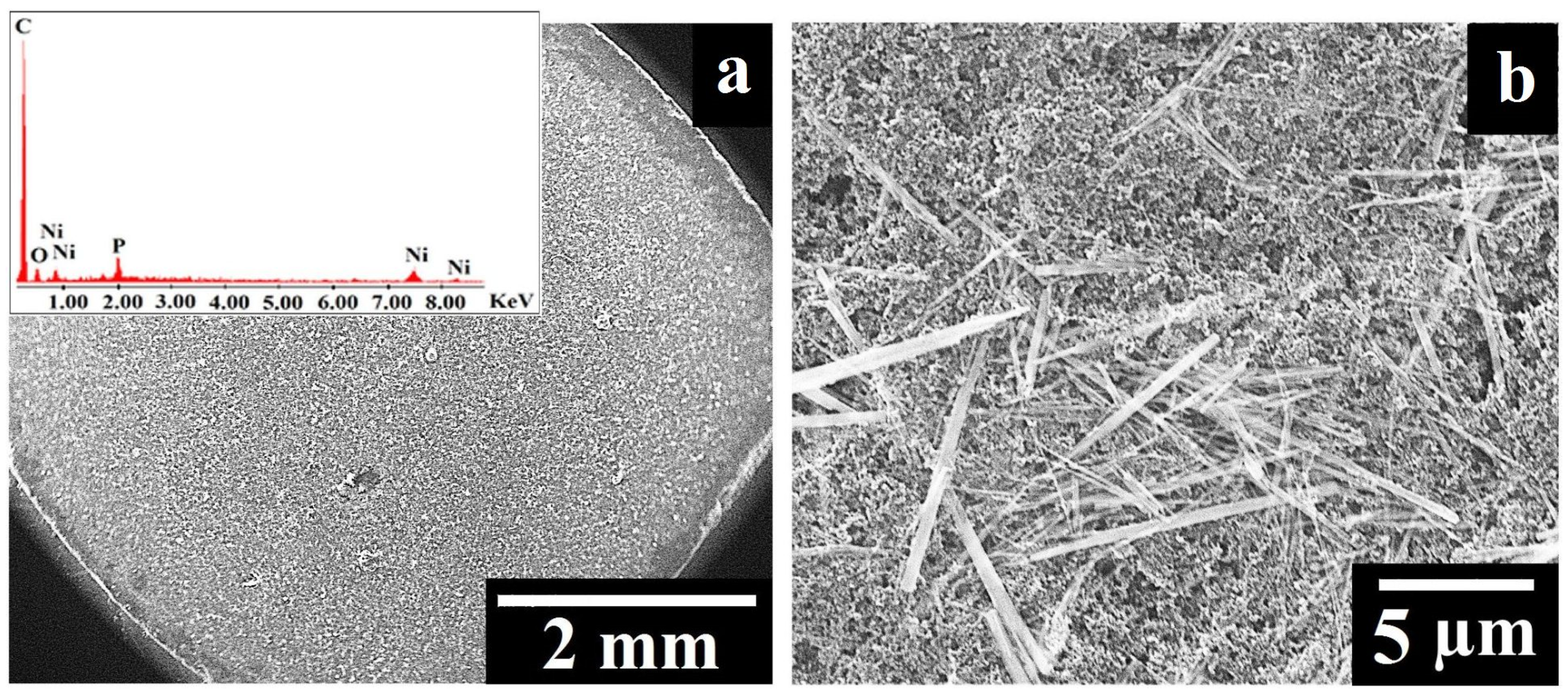 Crystals 12 01803 g002