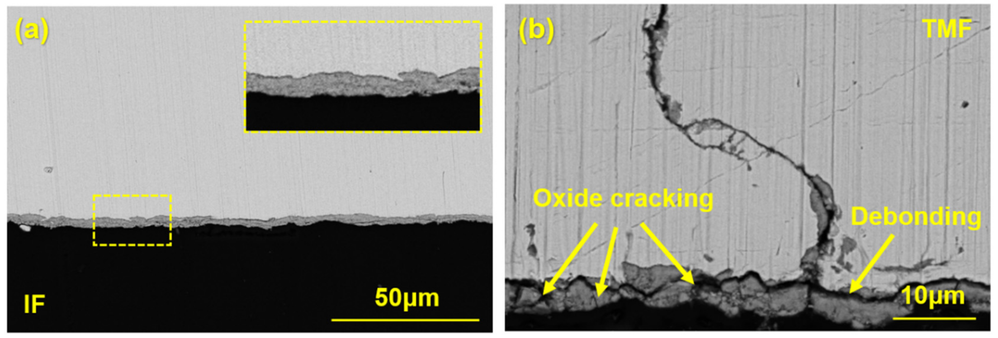 Crystals 13 00070 g005