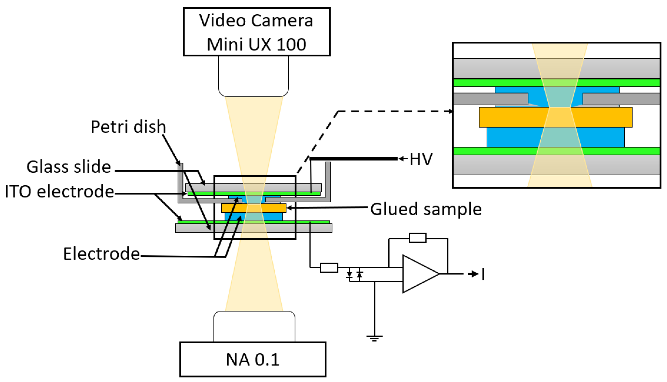 Crystals 13 00072 g002