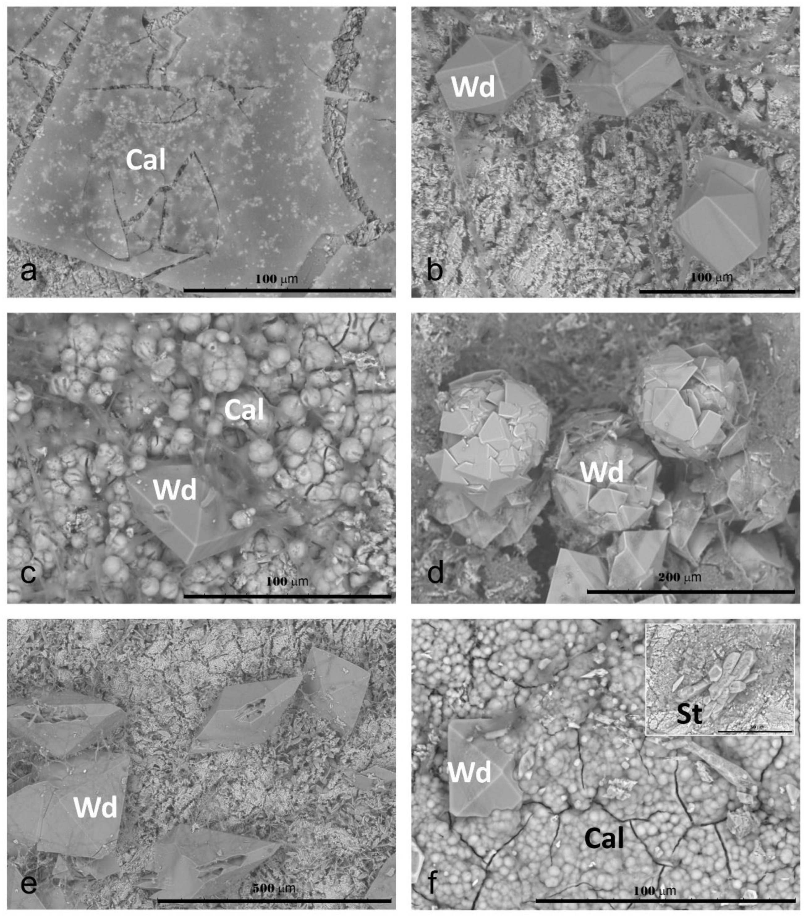 Crystals 13 00094 g003