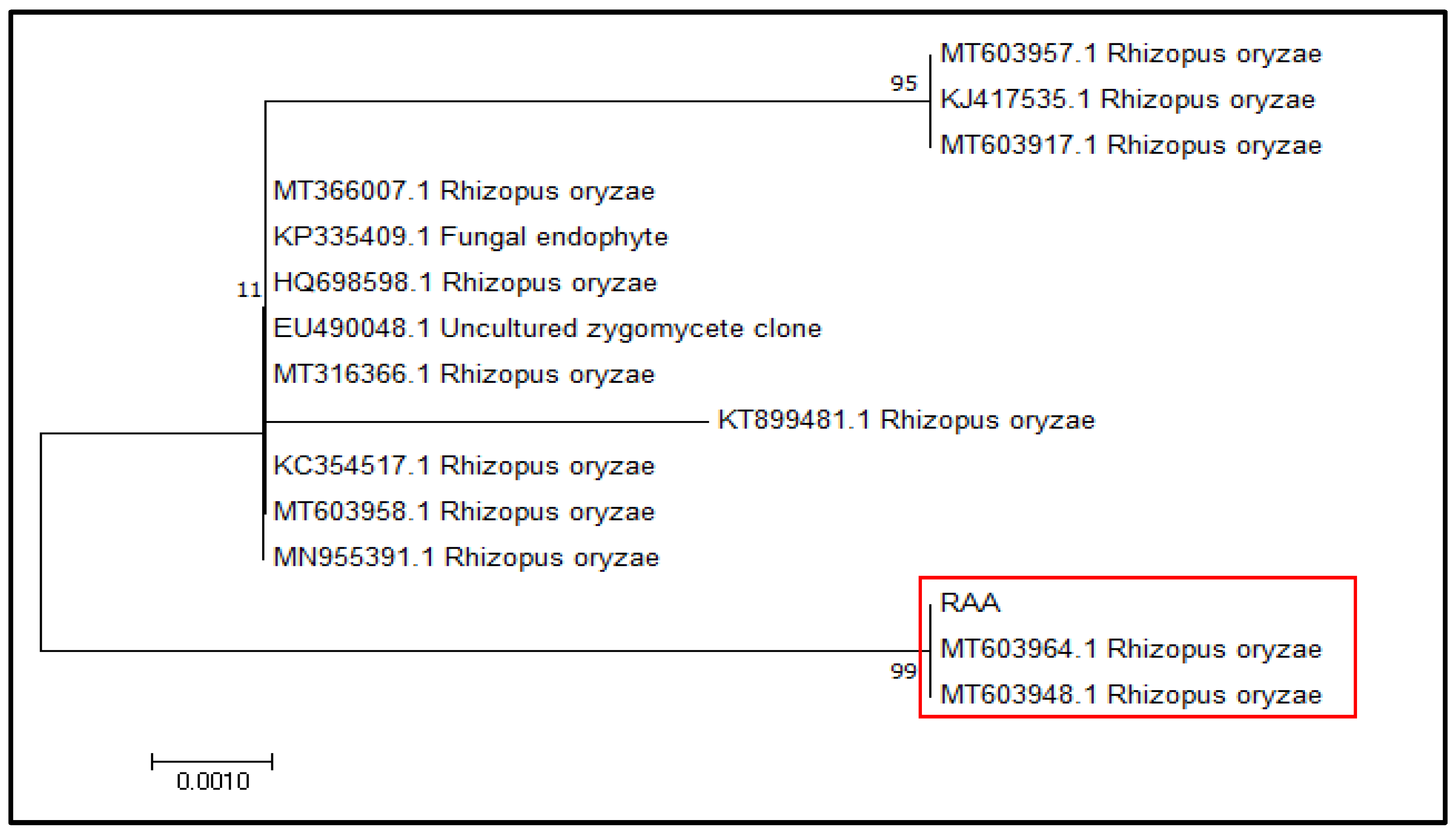 Crystals 13 00098 g003