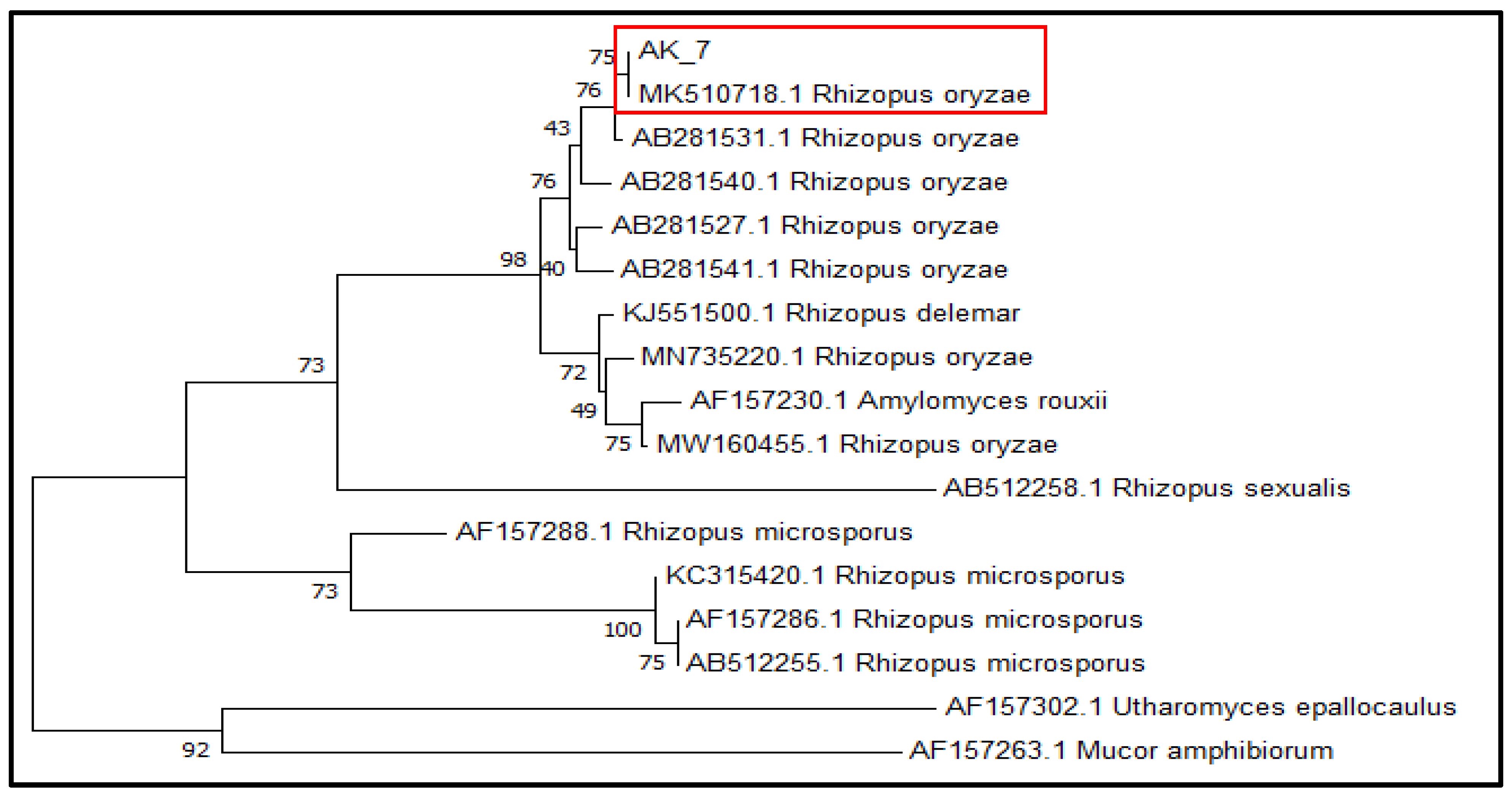 Crystals 13 00098 g004