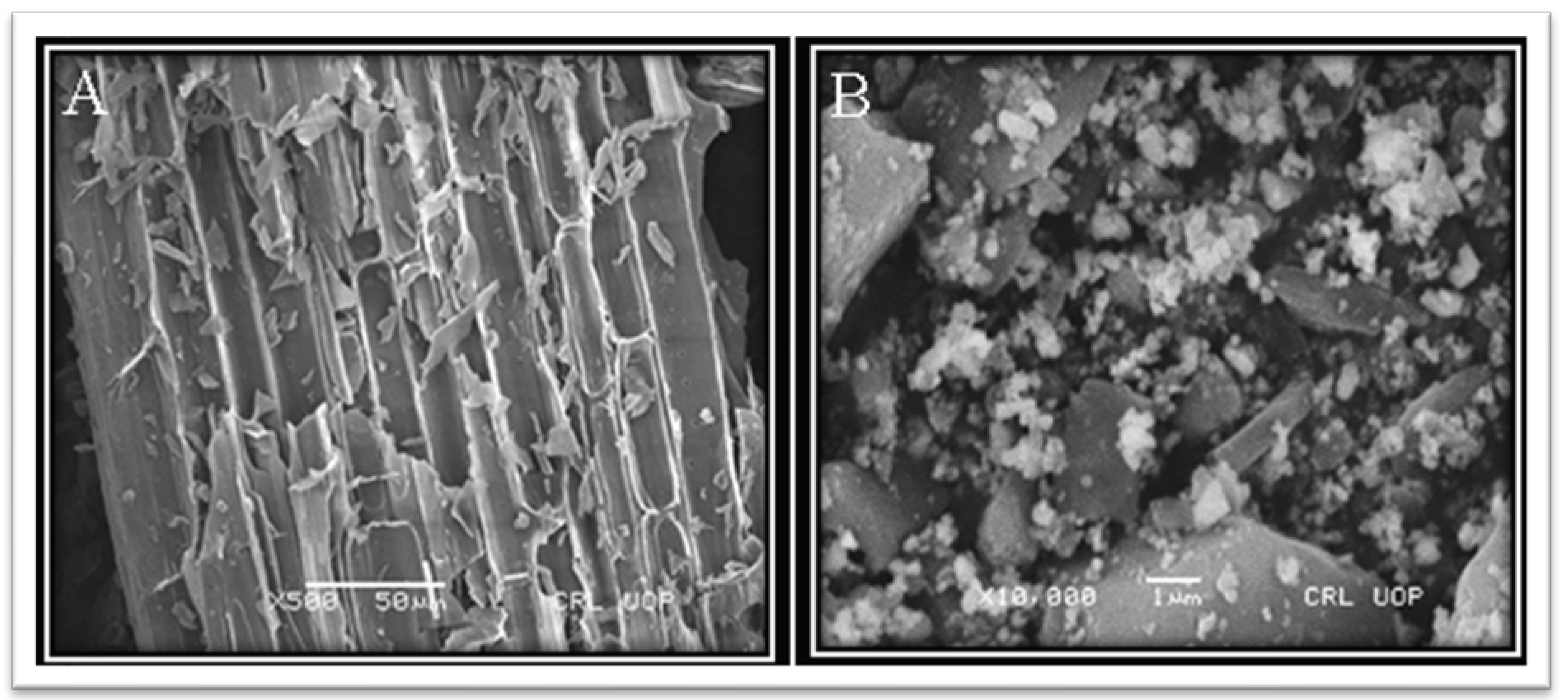 Crystals 13 00098 g005