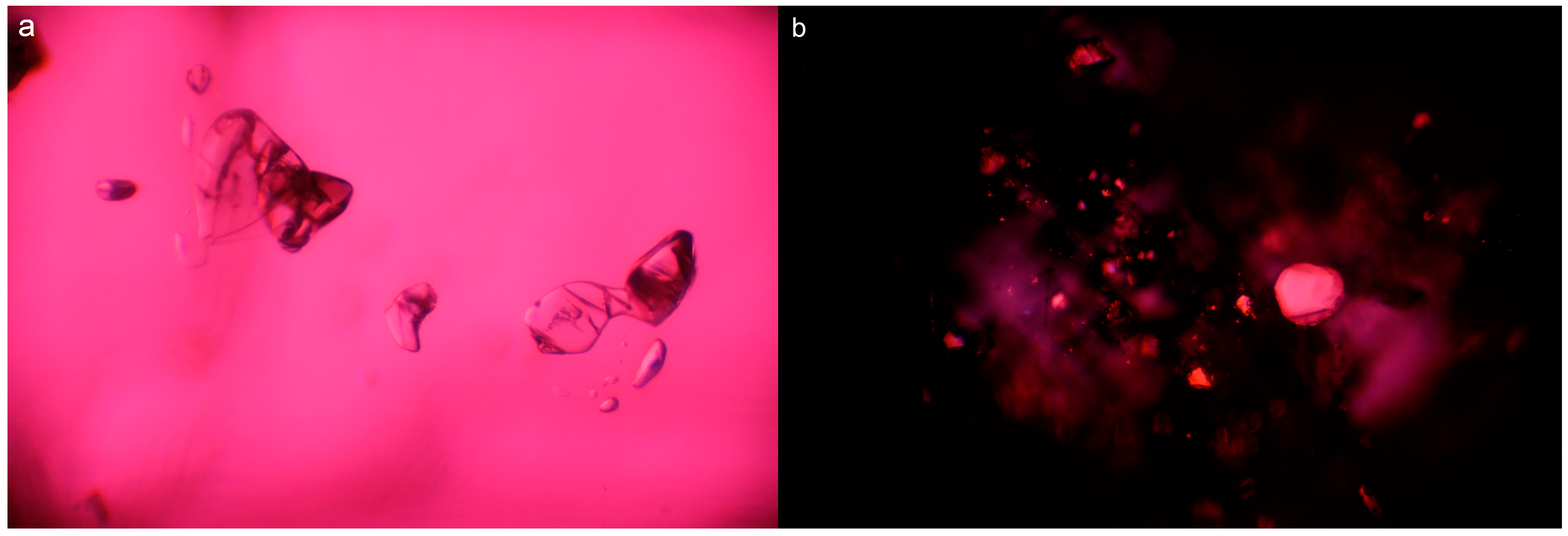 Crystals 13 00103 g016a