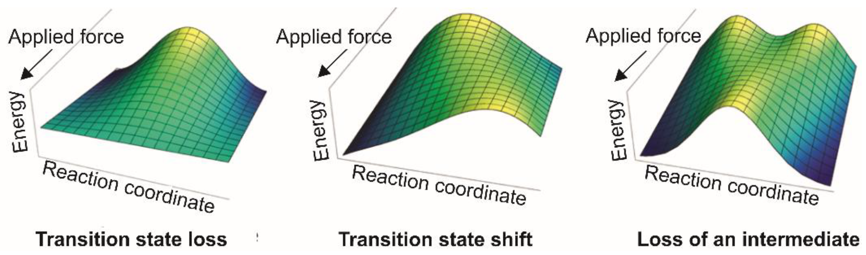 Crystals 13 00124 g006