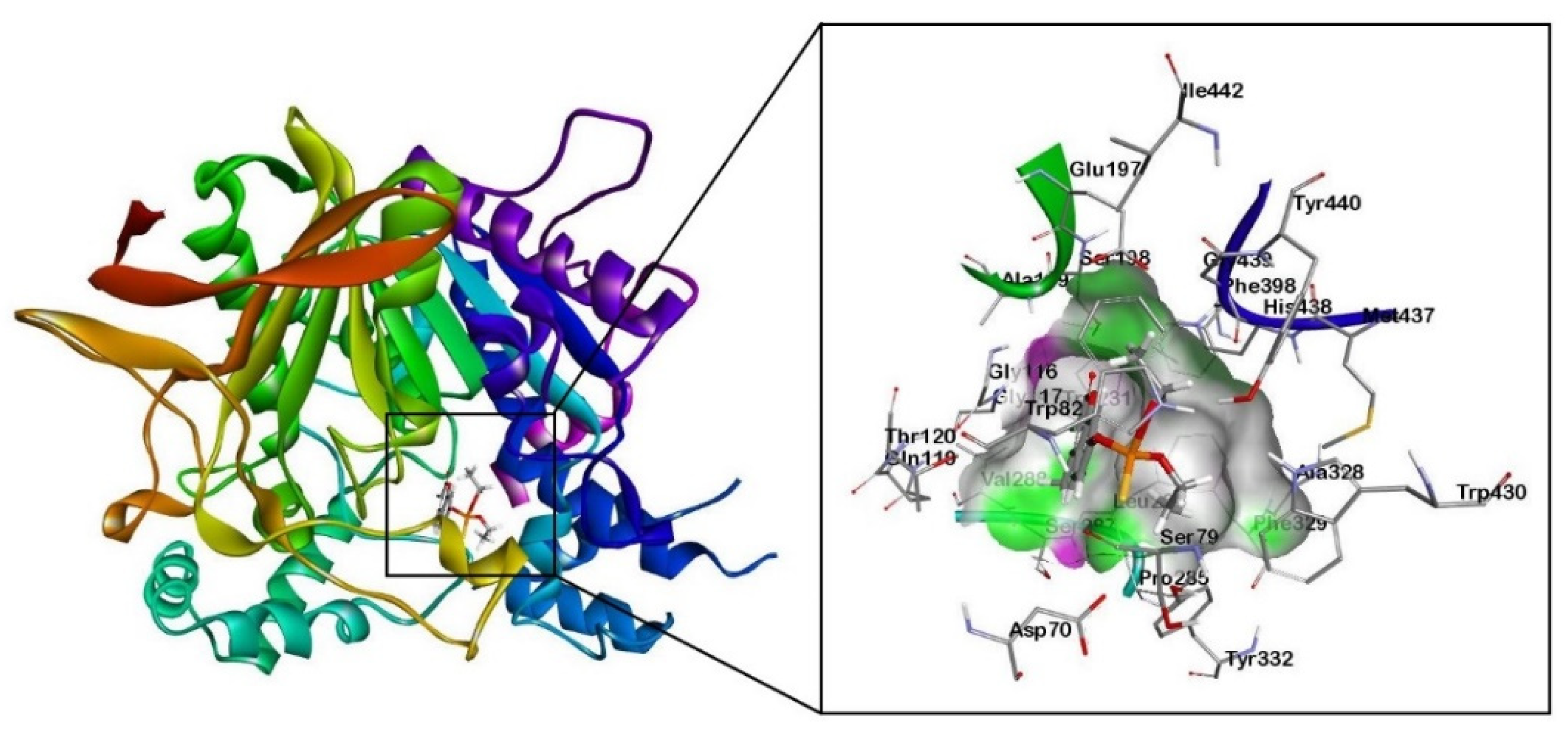 Crystals 13 00153 g002 Crystals 13 00153 g002