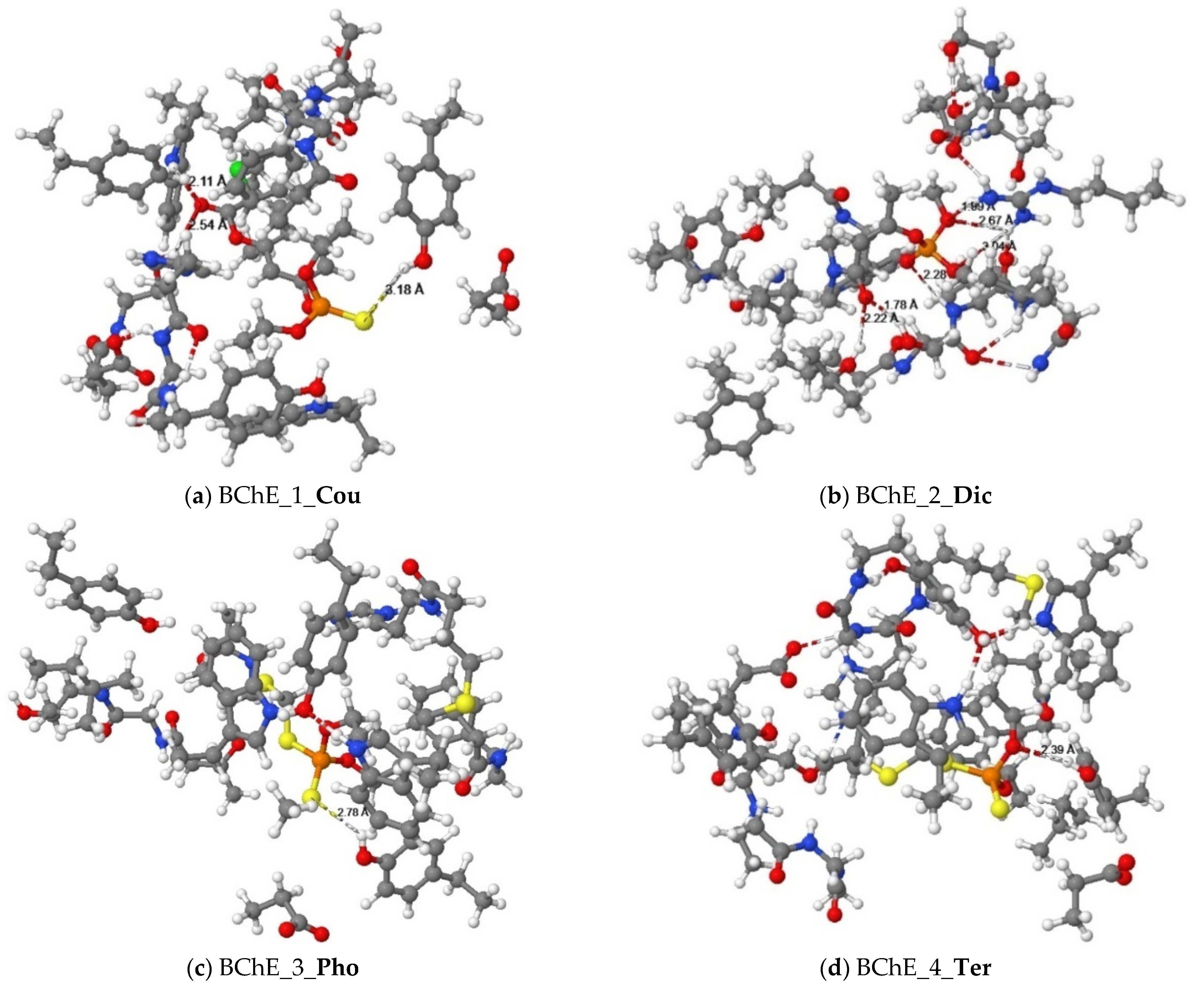 Crystals 13 00153 g004 Crystals 13 00153 g004