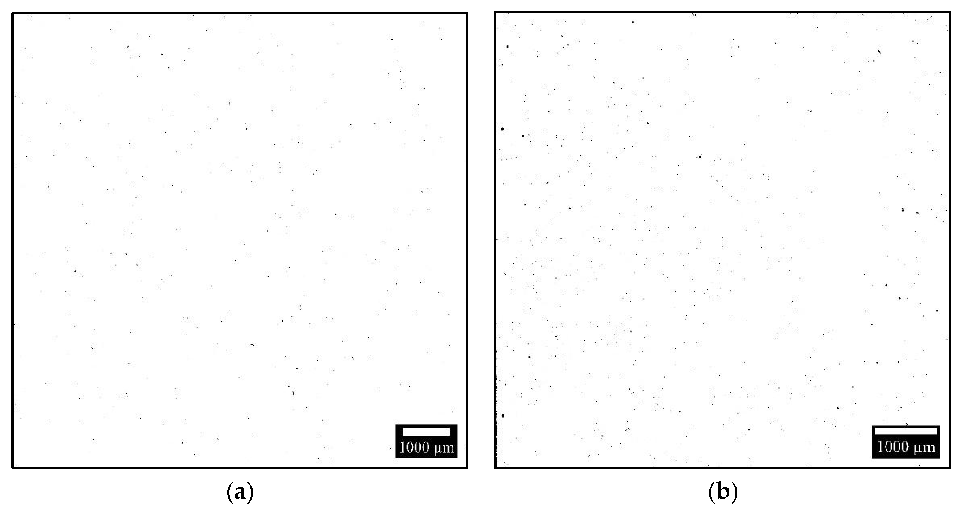 Crystals 13 00157 g006