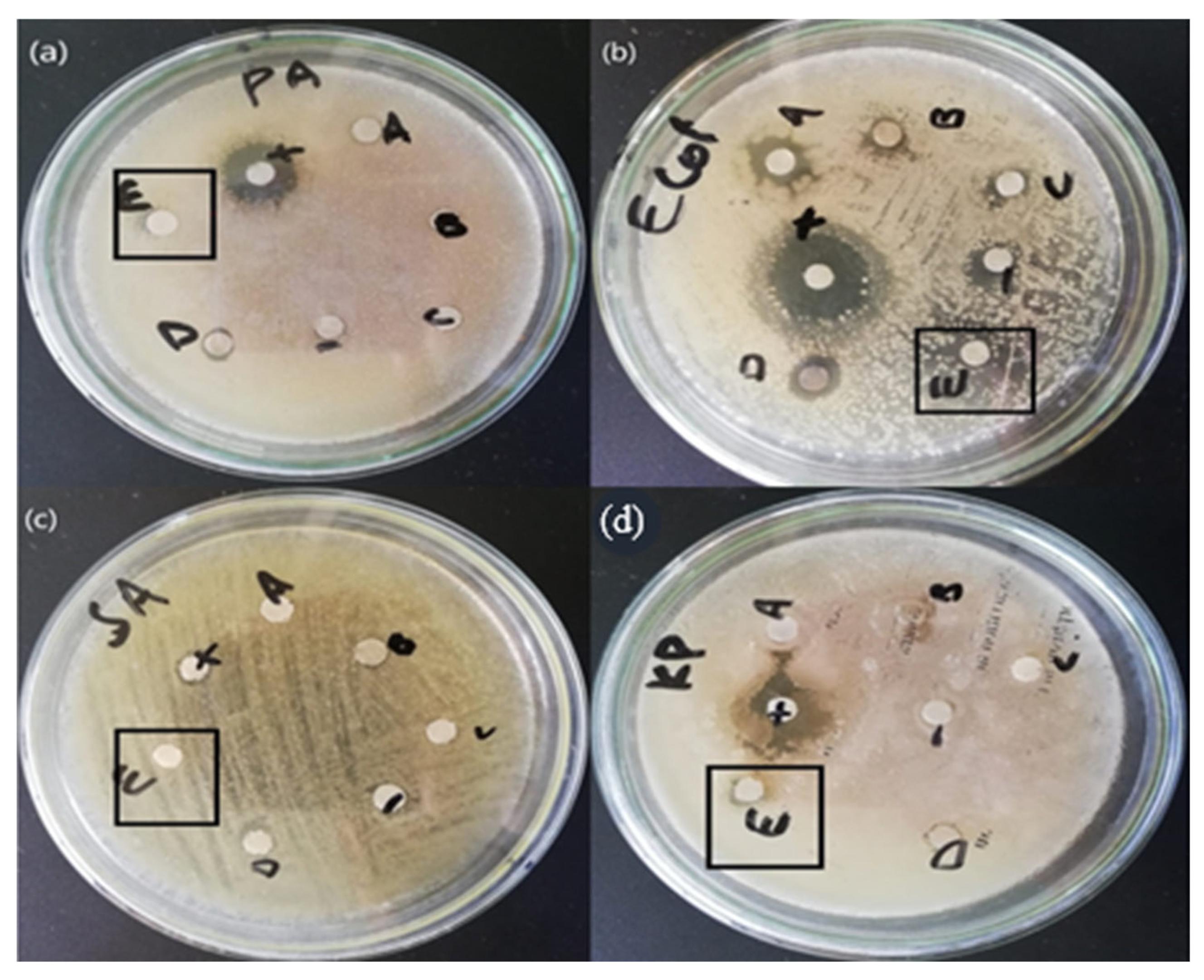 Crystals 13 00171 g007