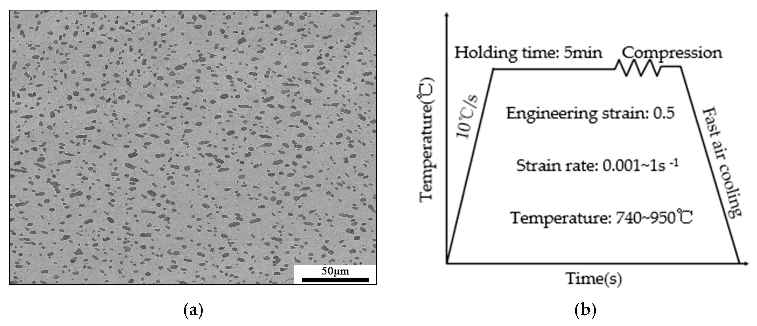 Crystals 13 00182 g001