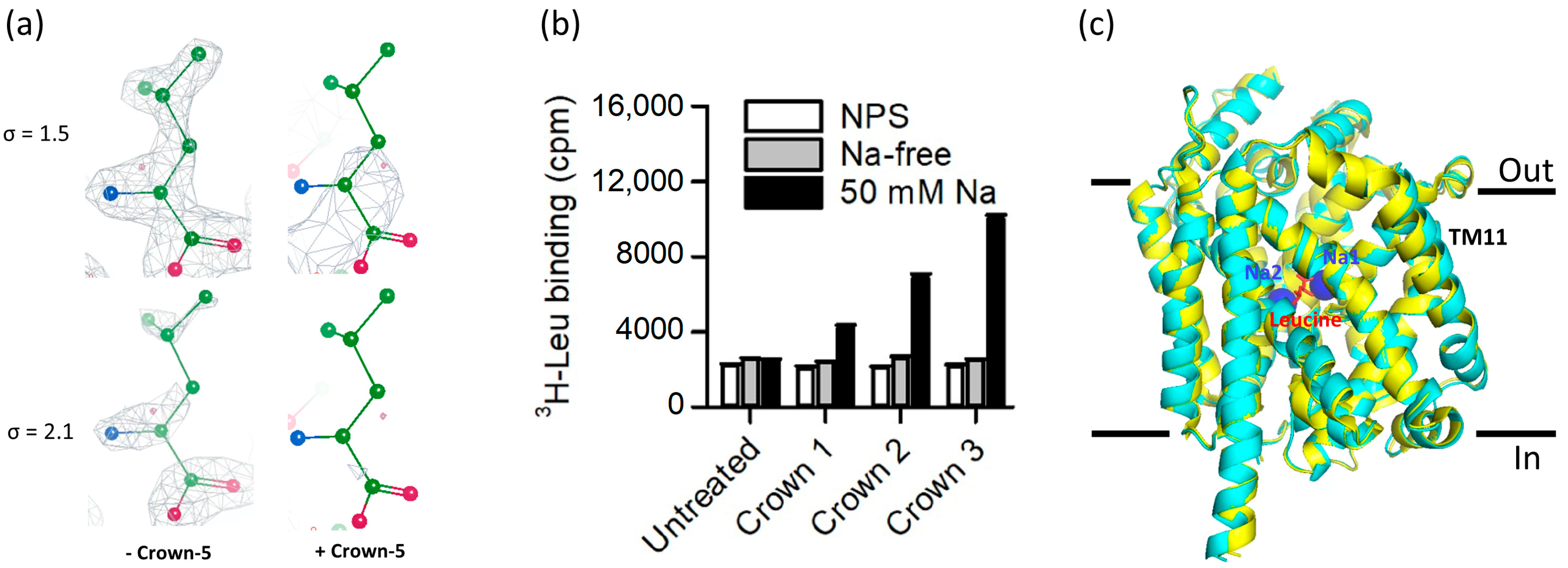 Crystals 13 00183 g004