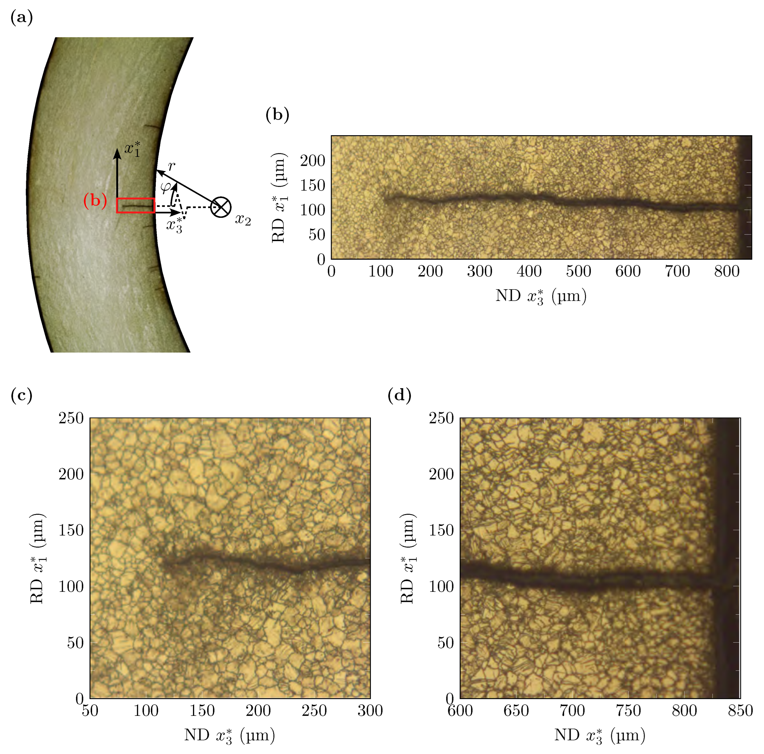 Crystals 13 00184 g009 Crystals 13 00184 g009