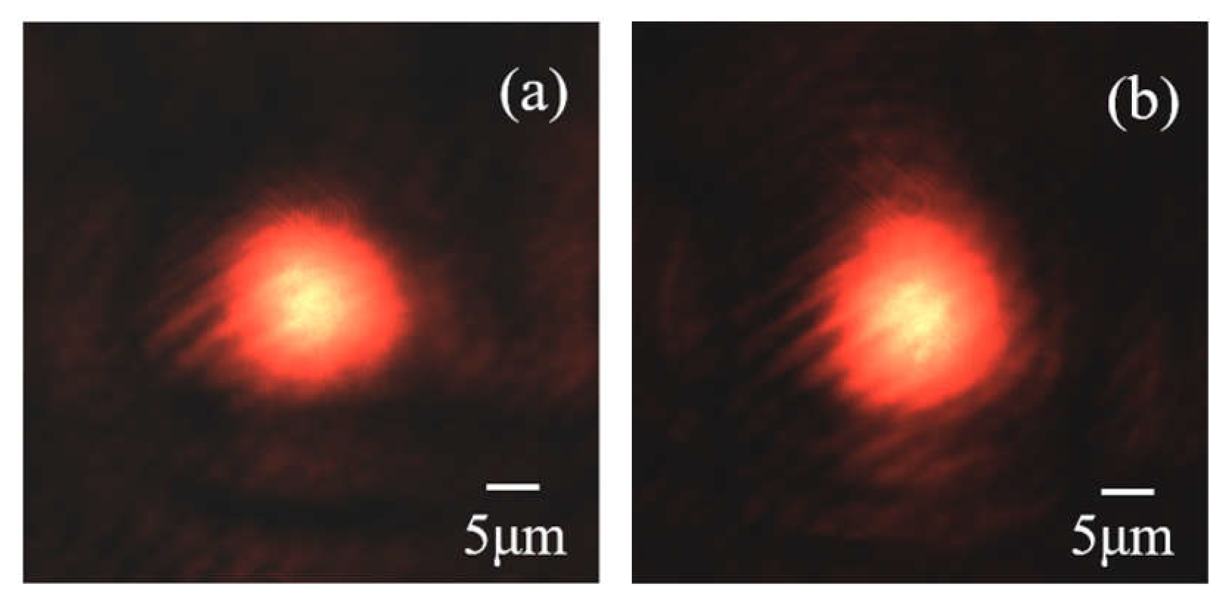 Crystals 13 00188 g004