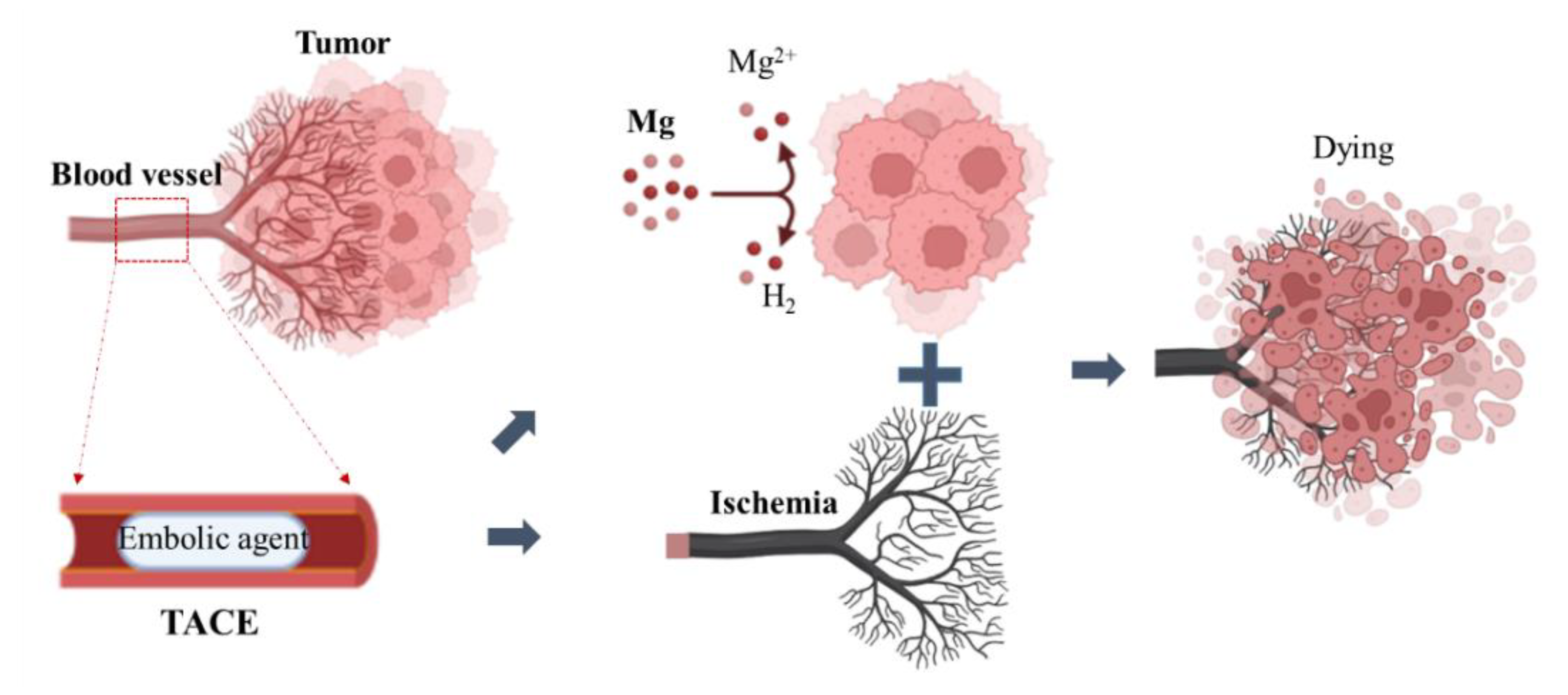 Crystals 13 00194 g001
