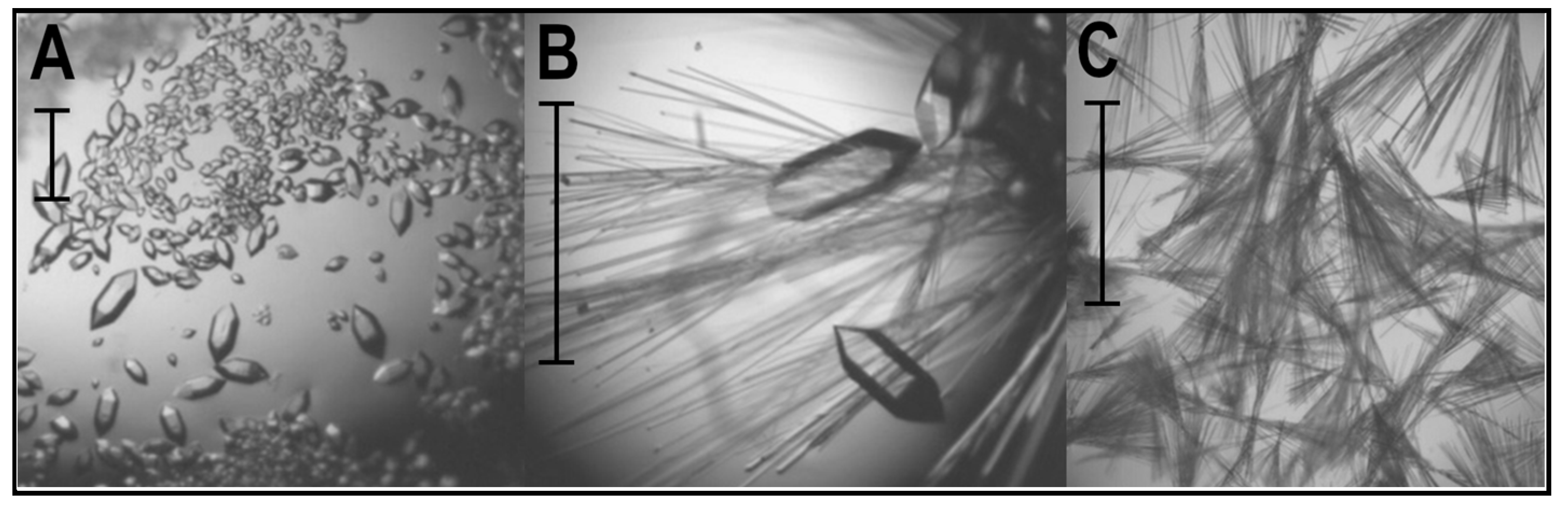 Crystals 13 00218 g001