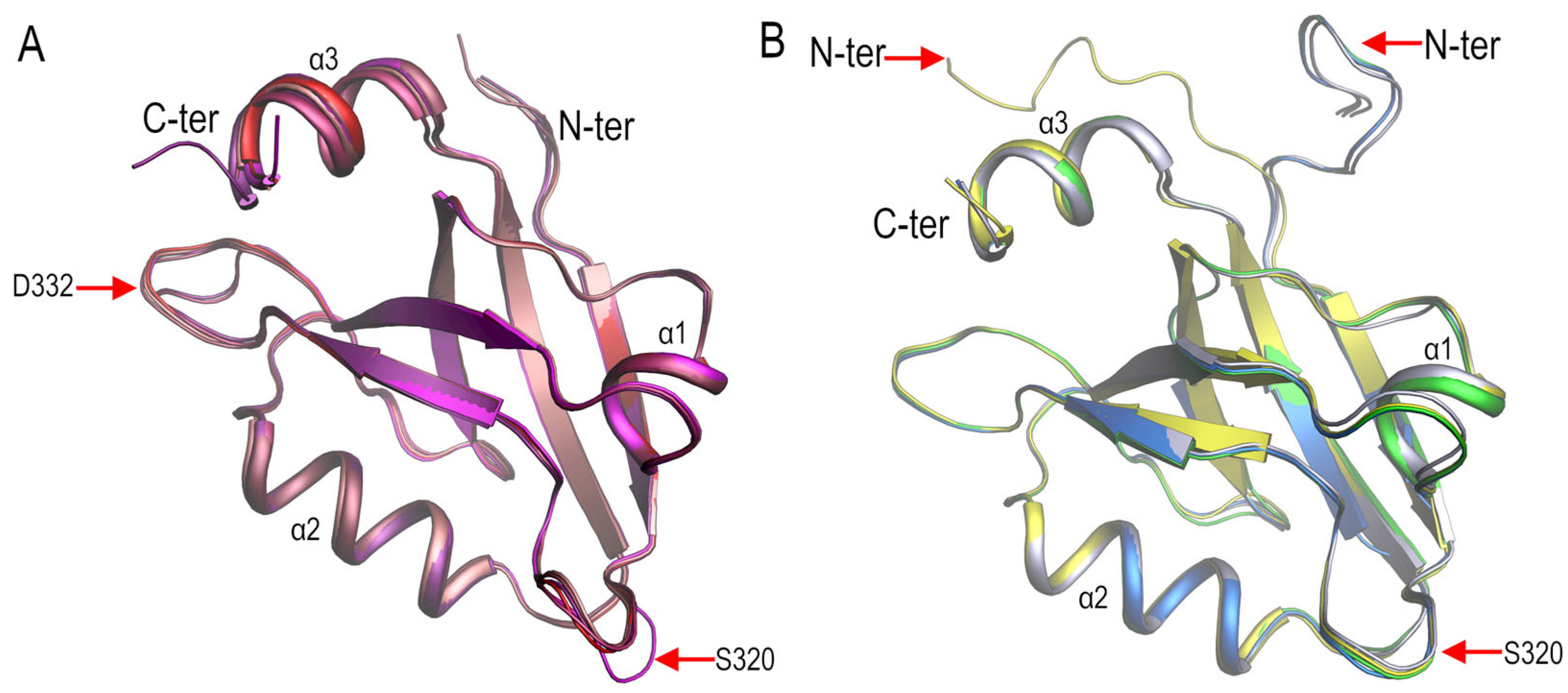 Crystals 13 00218 g002