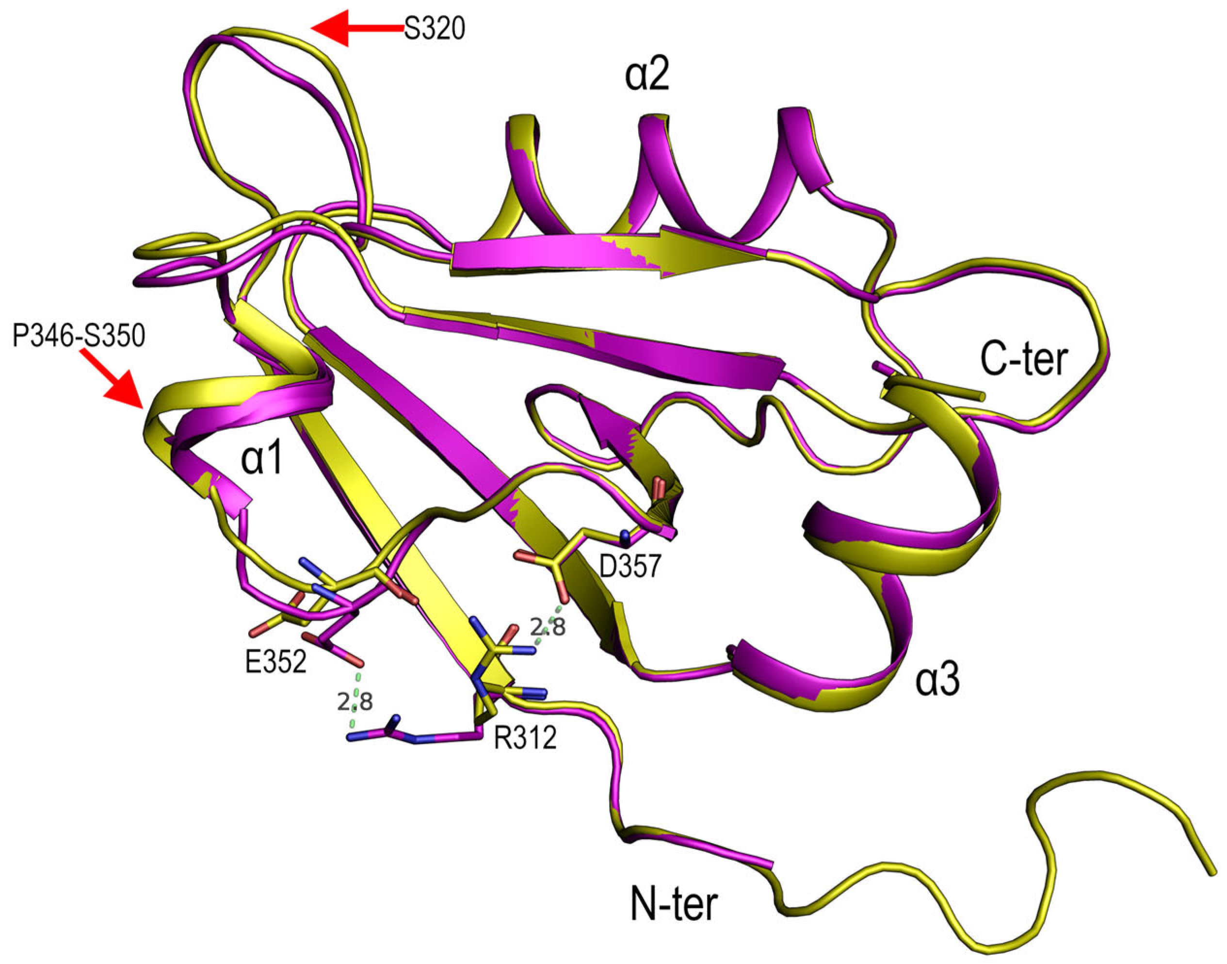 Crystals 13 00218 g004