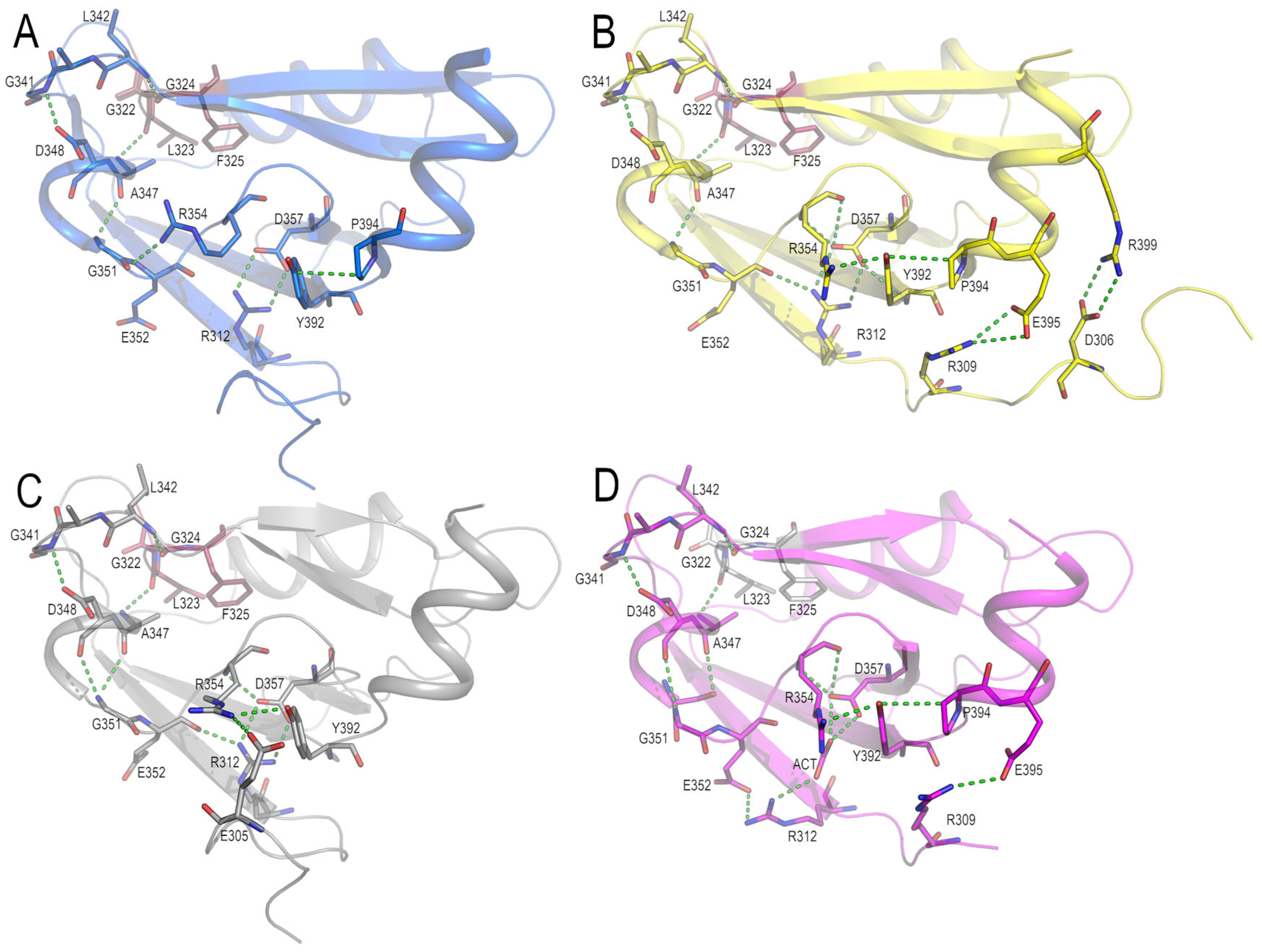 Crystals 13 00218 g006