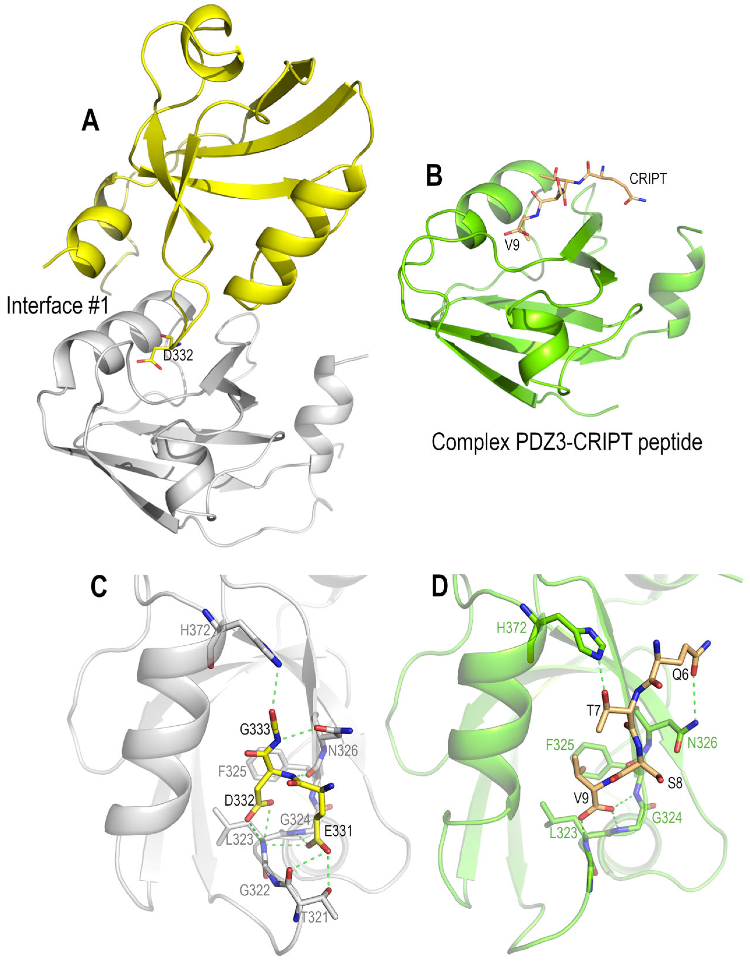 Crystals 13 00218 g007