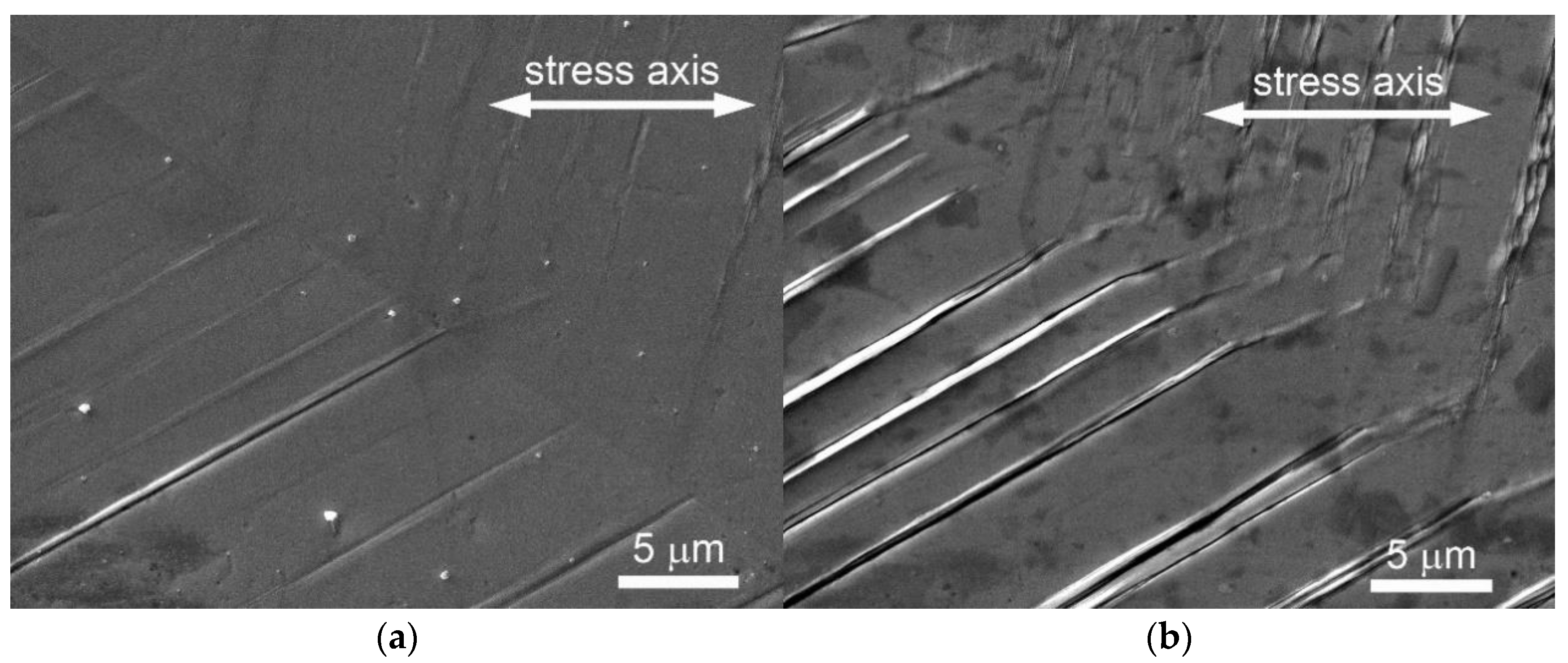 Crystals 13 00220 g001