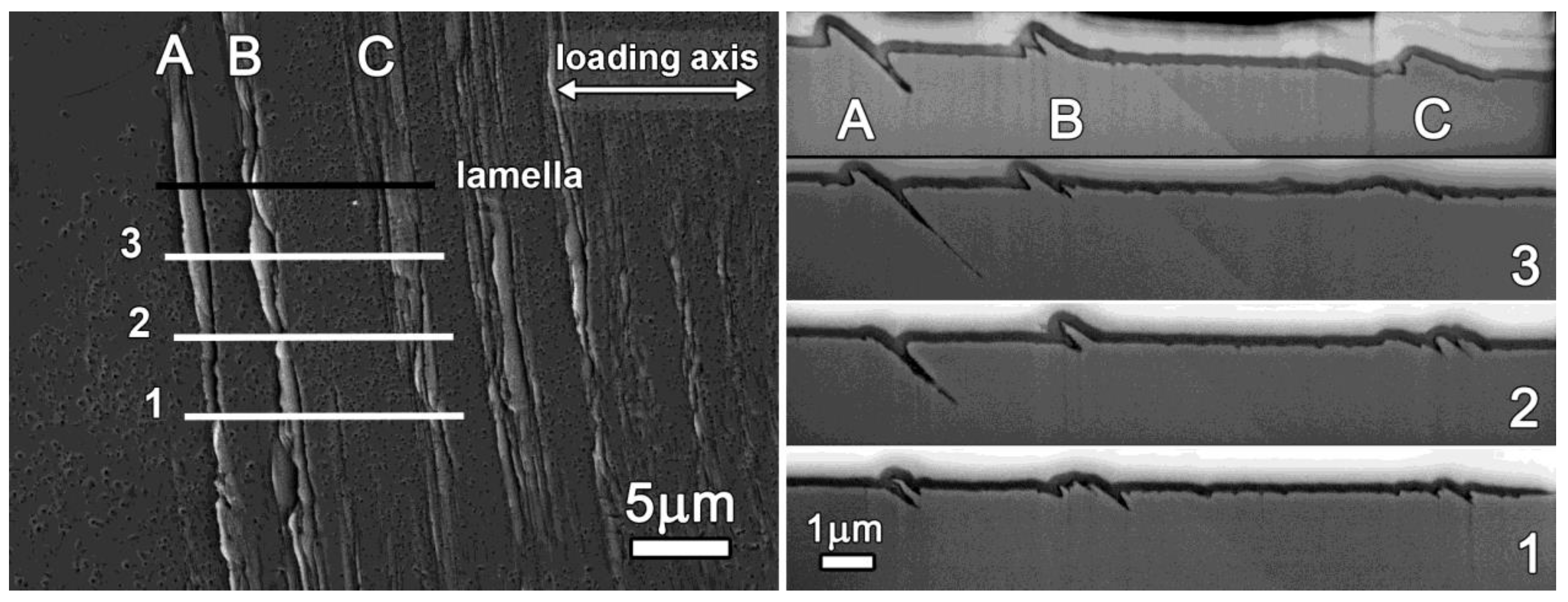 Crystals 13 00220 g004
