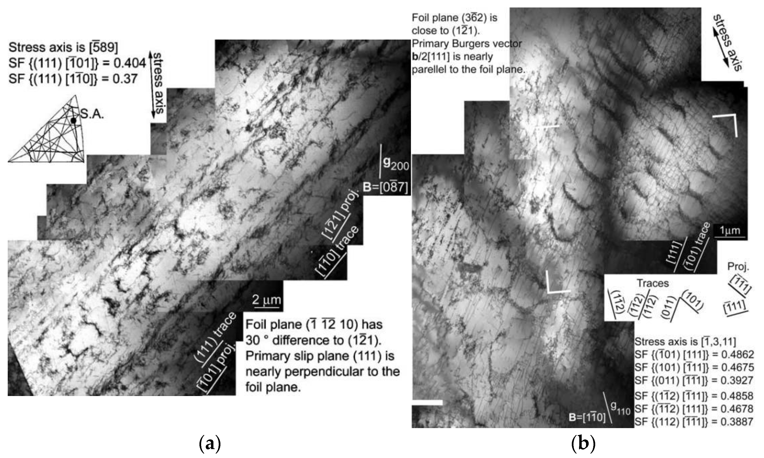 Crystals 13 00220 g005